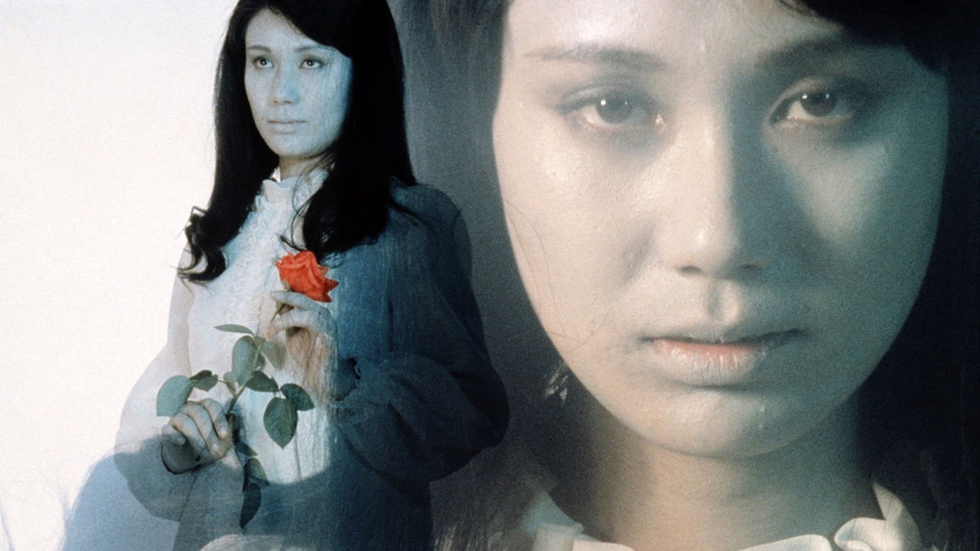 Foto do filme A Maldição de Drácula