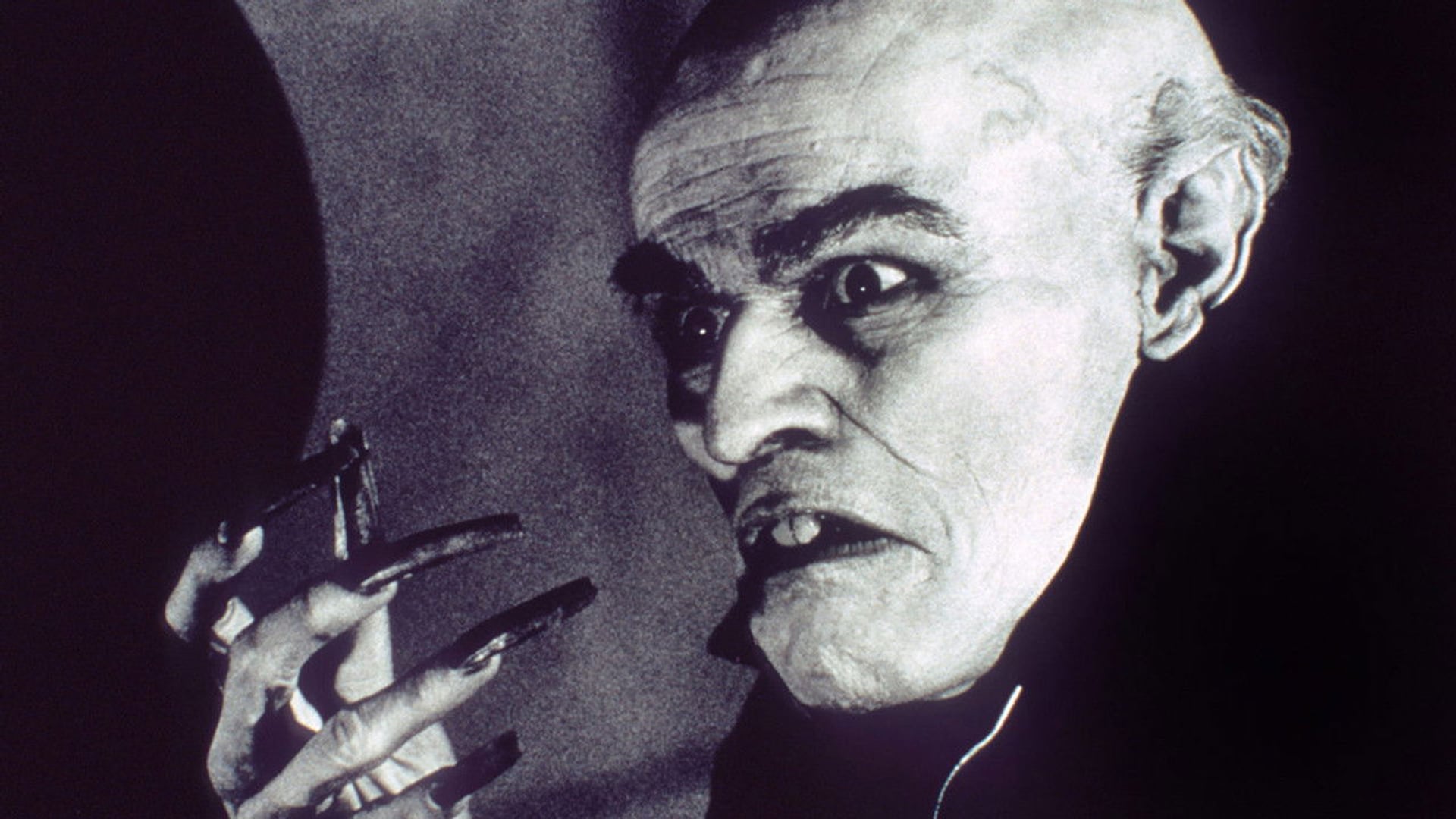 Foto do filme A Sombra do Vampiro