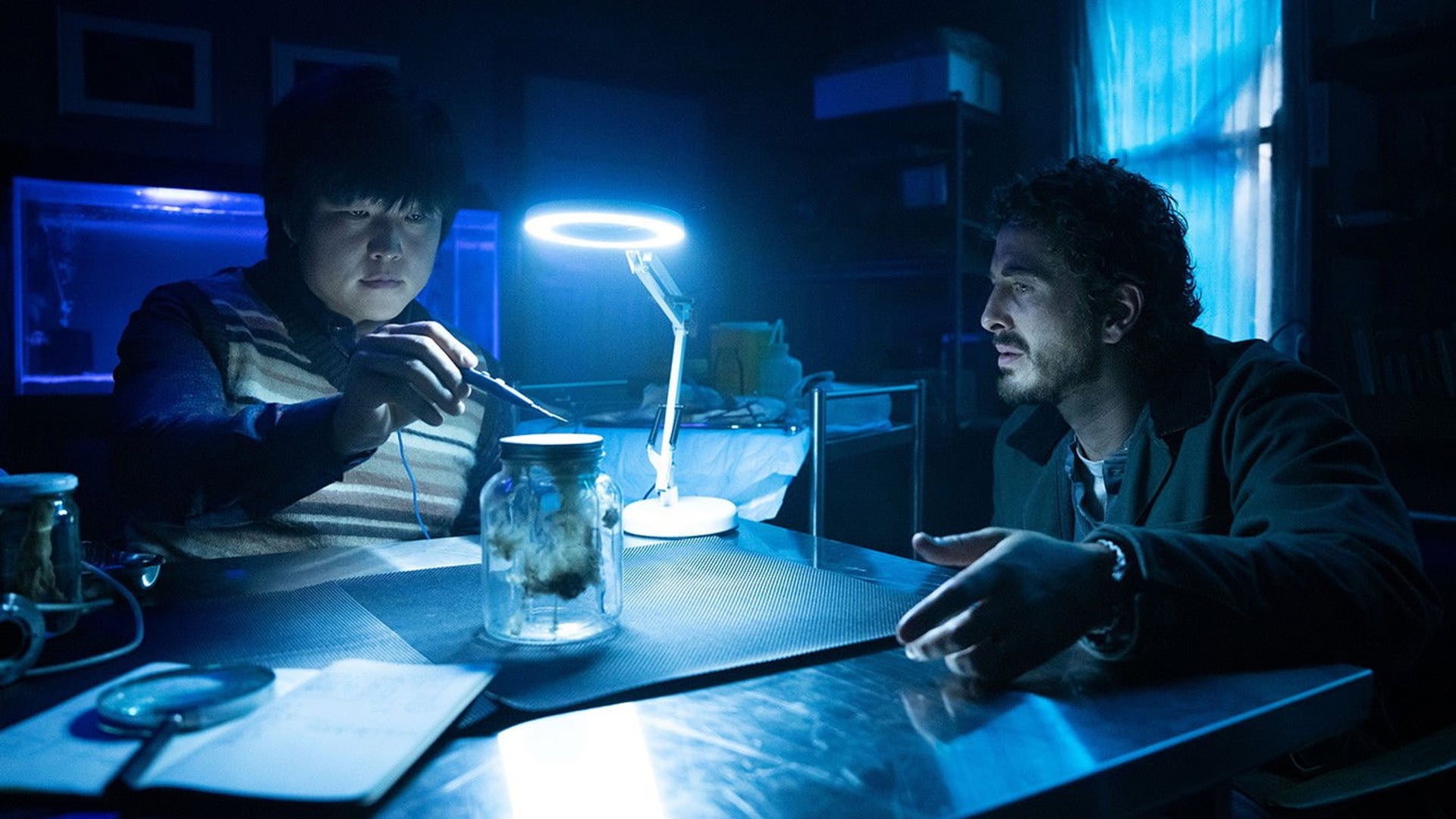 Foto do filme Sting: Aranha Assassina