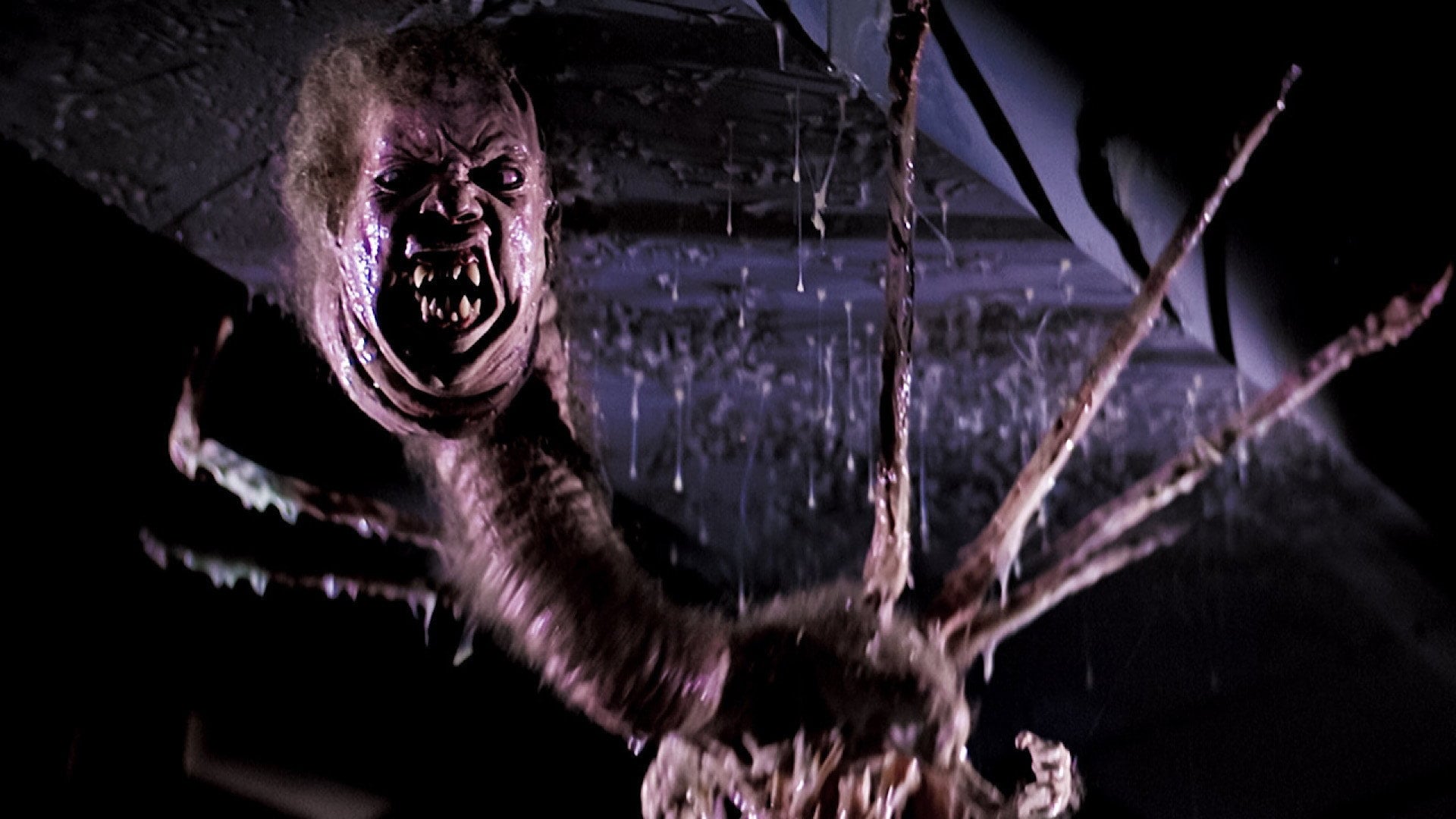 Foto do filme O Enigma de Outro Mundo