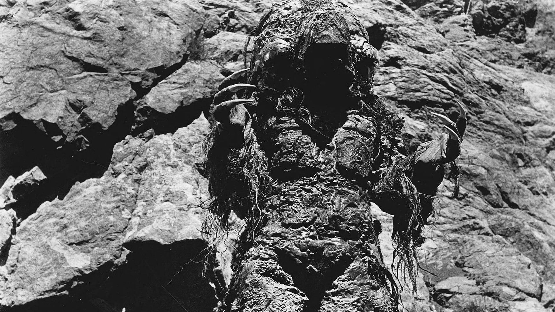 Foto do filme Night of the Blood Beast