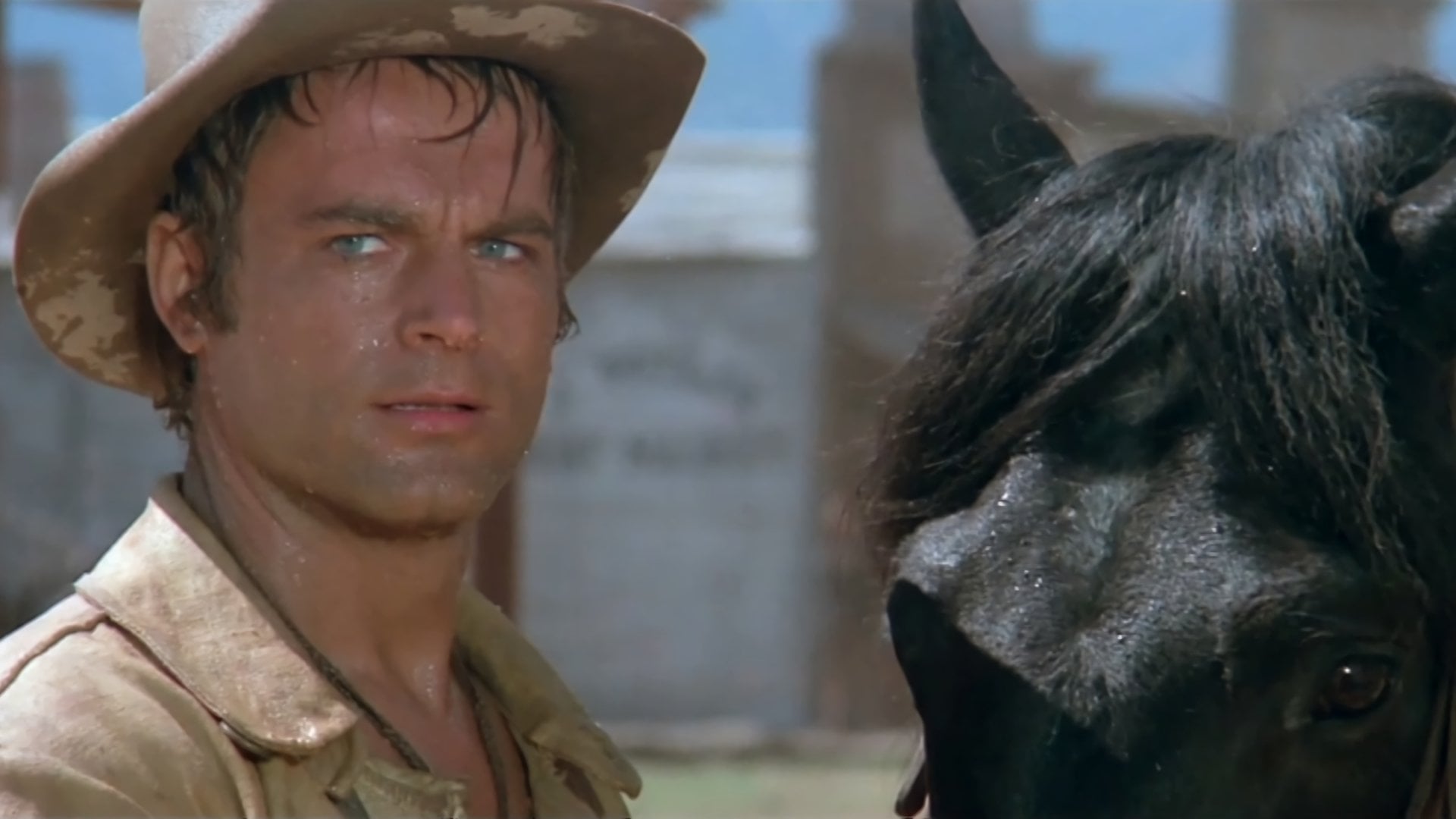 Foto do filme Trinity e Seus Companheiros