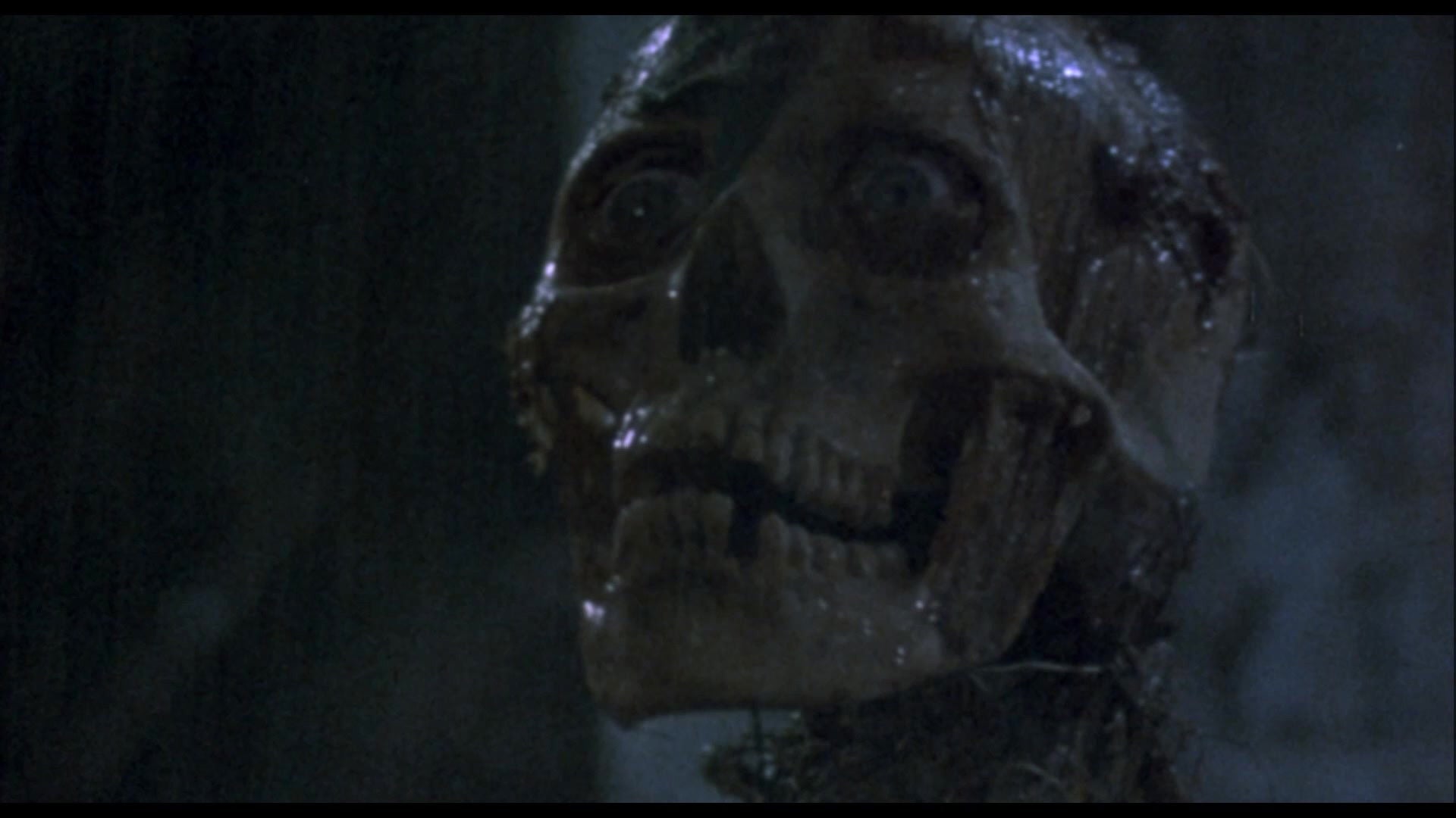 Foto do filme A Volta dos Mortos Vivos