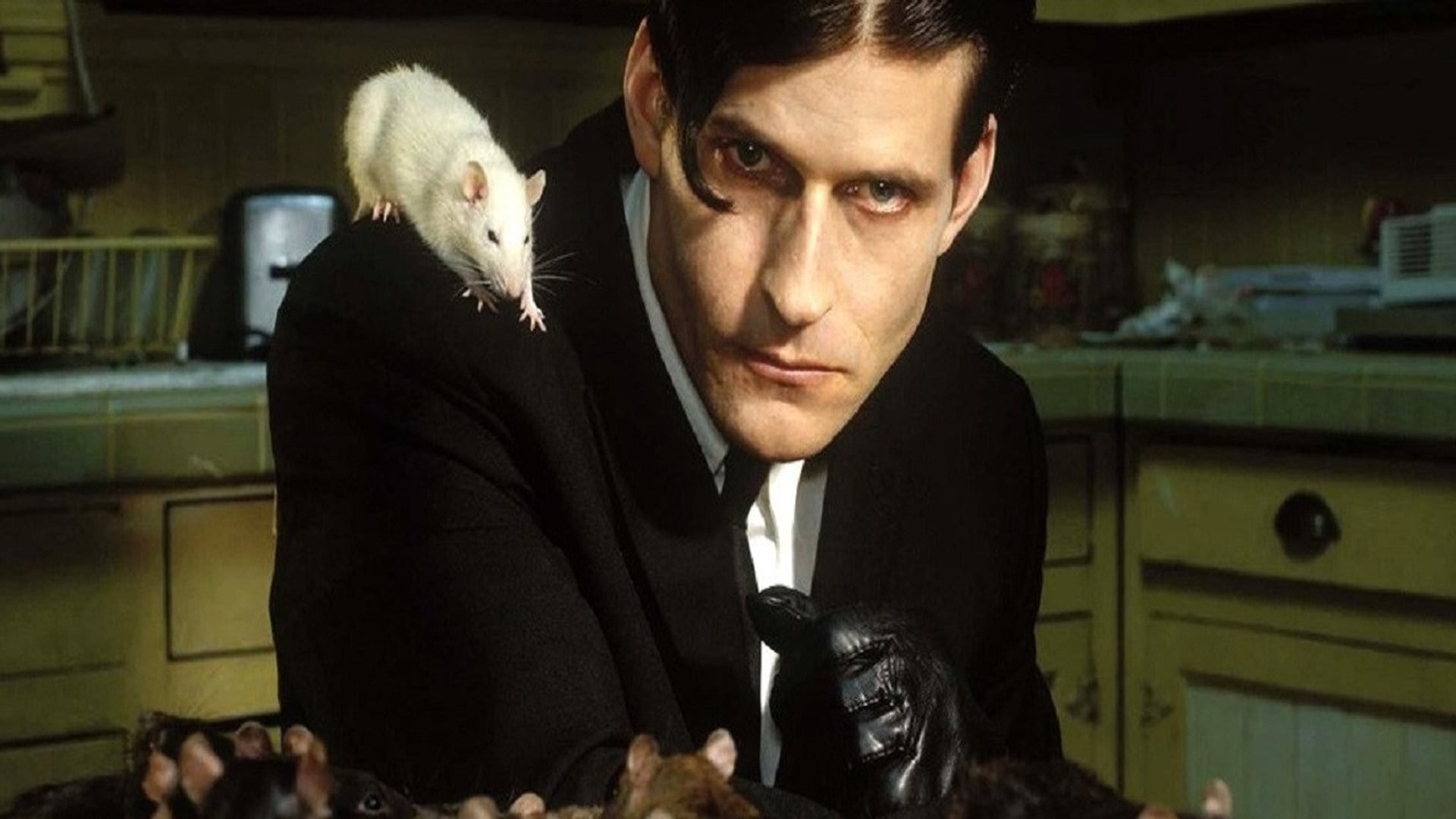Foto do filme A Vingança de Willard