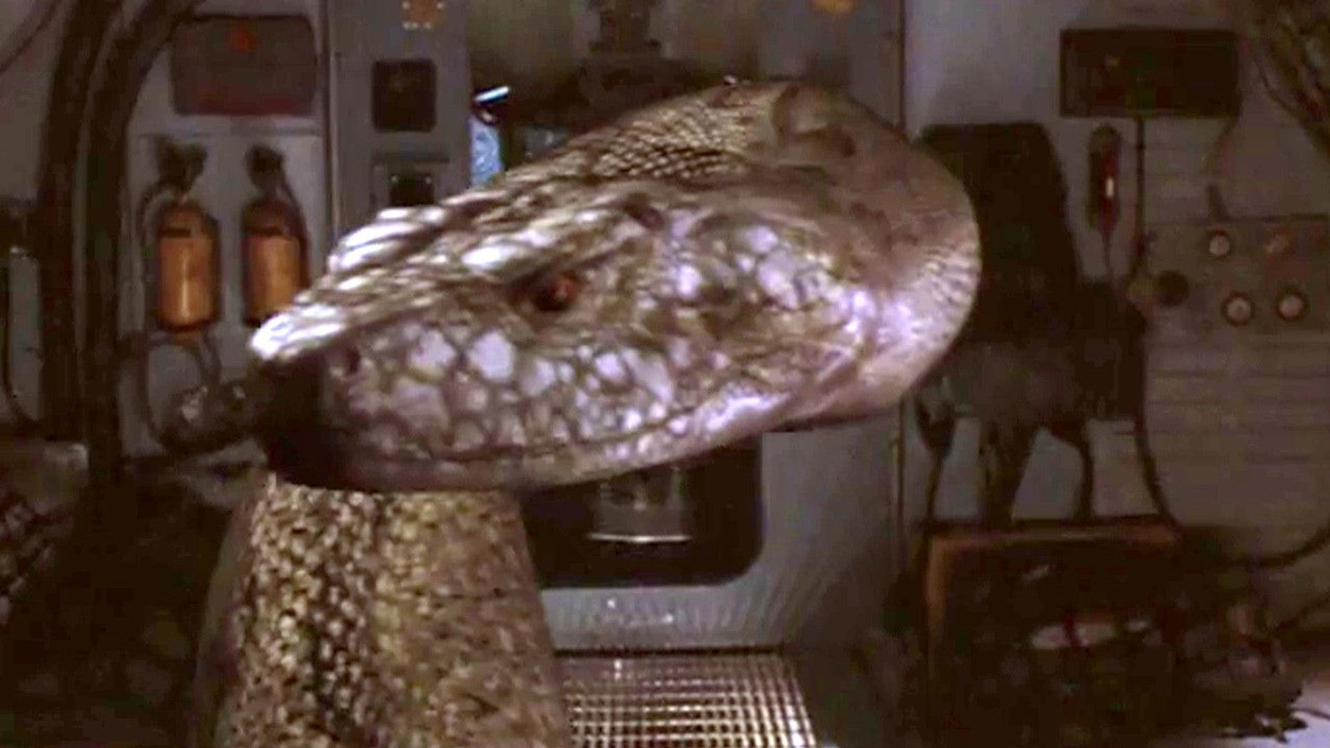 Foto do filme Terror em Alcatraz