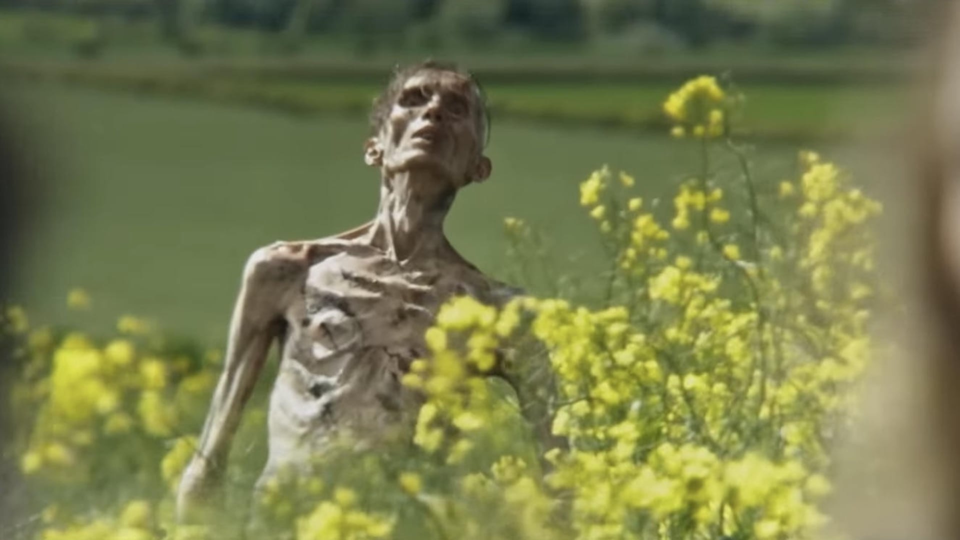 Foto do filme Extermínio: A Evolução