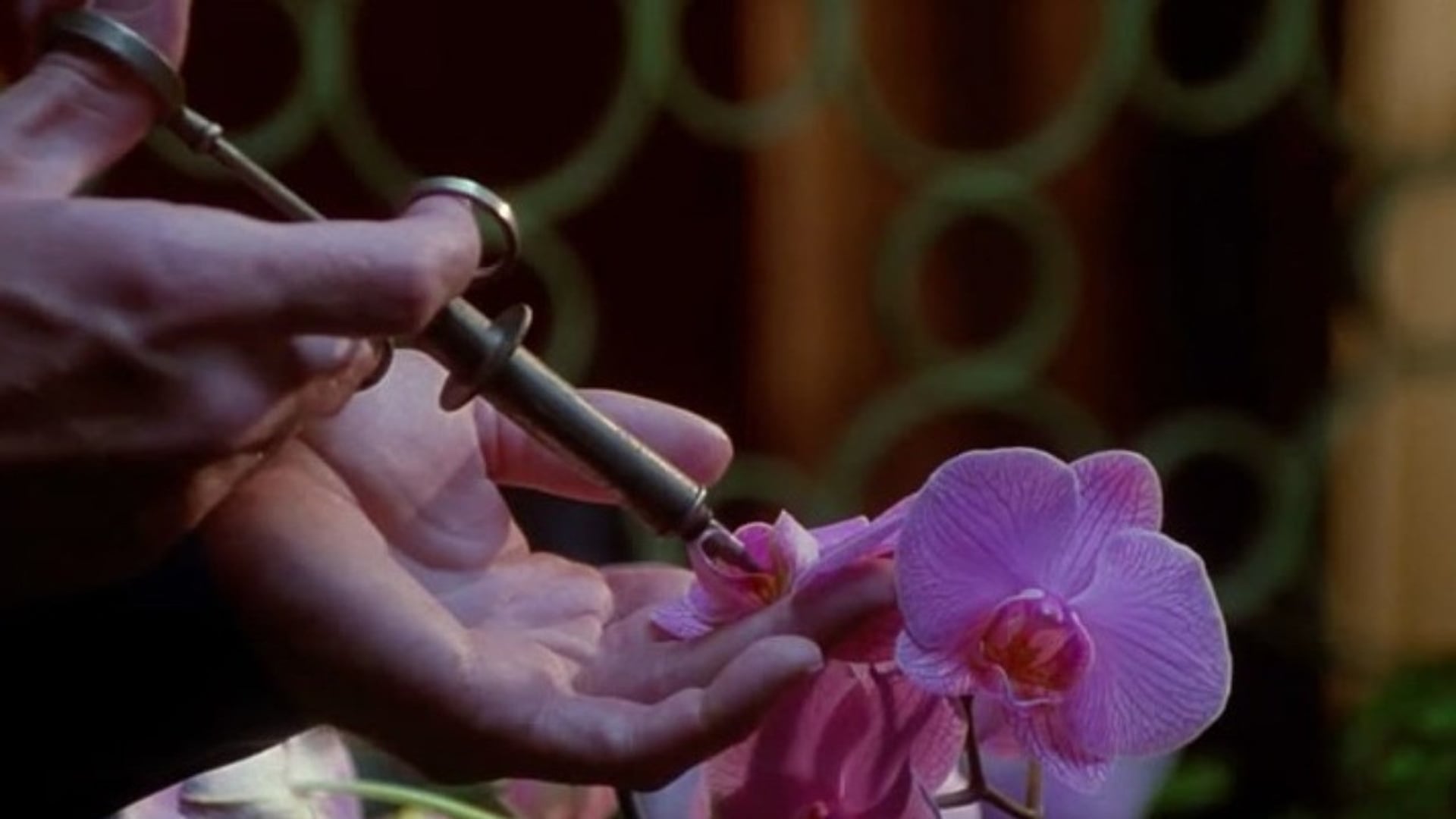 Foto do filme Secretária