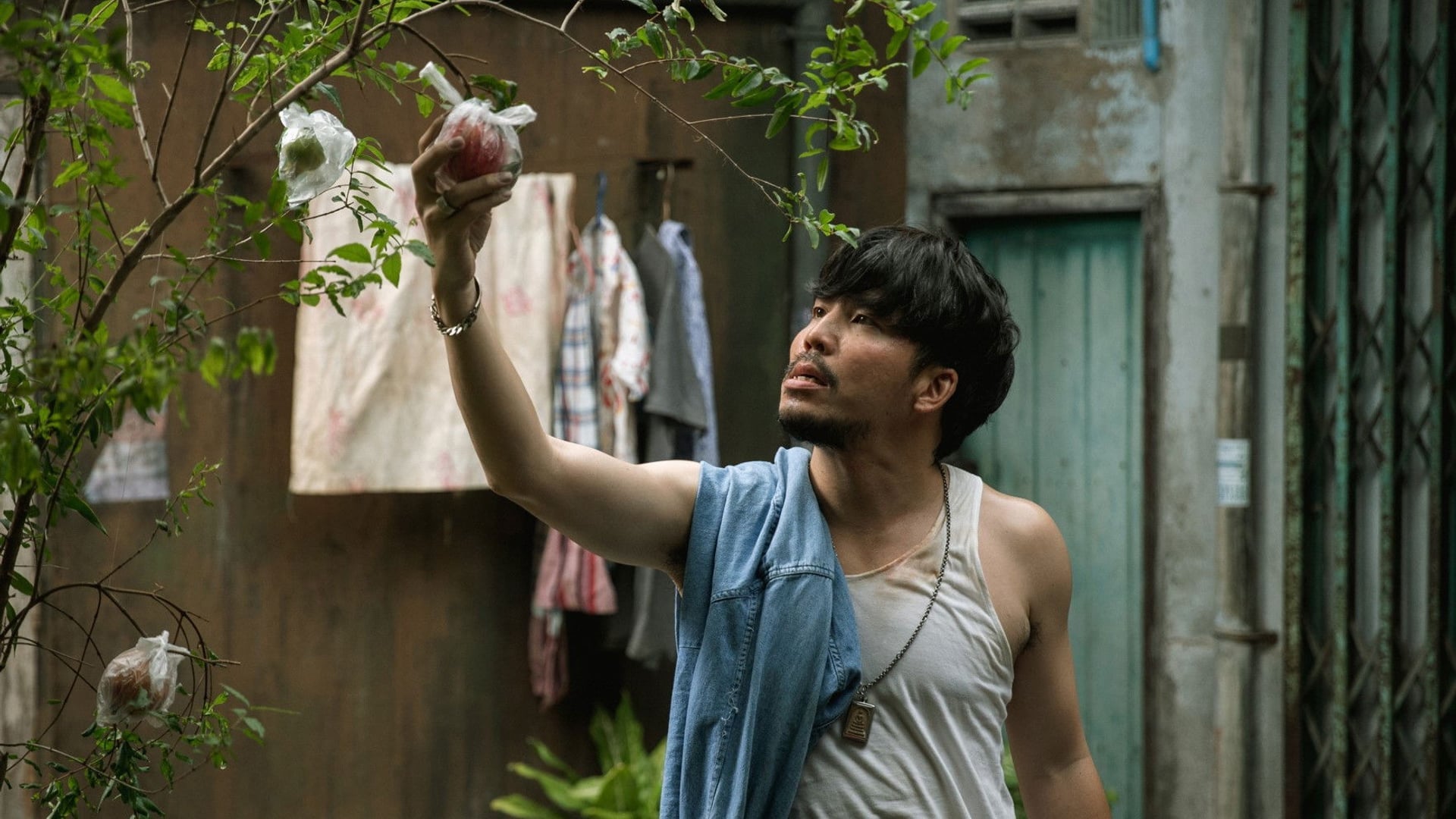 Foto do filme Como Ganhar Milhões Antes Que a Avó Morra