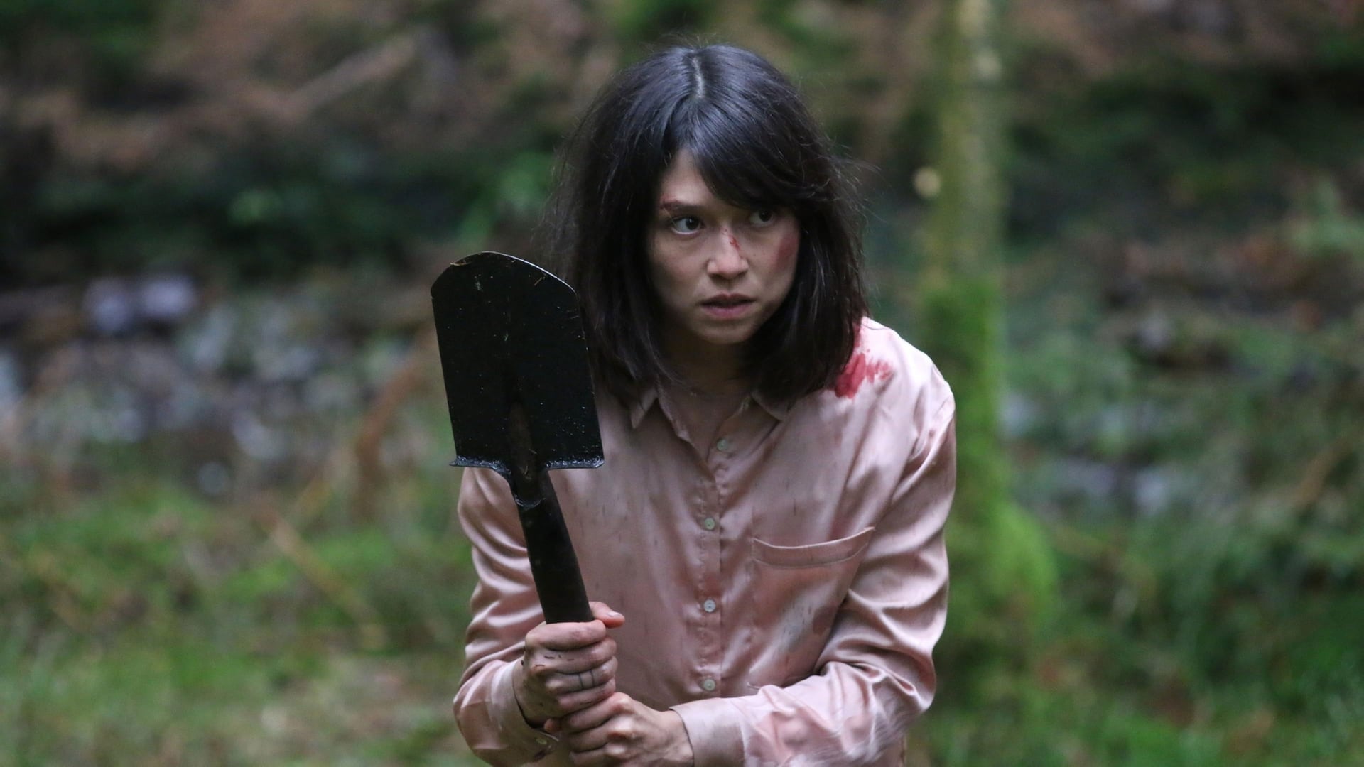 Foto do filme Sombras do Passado