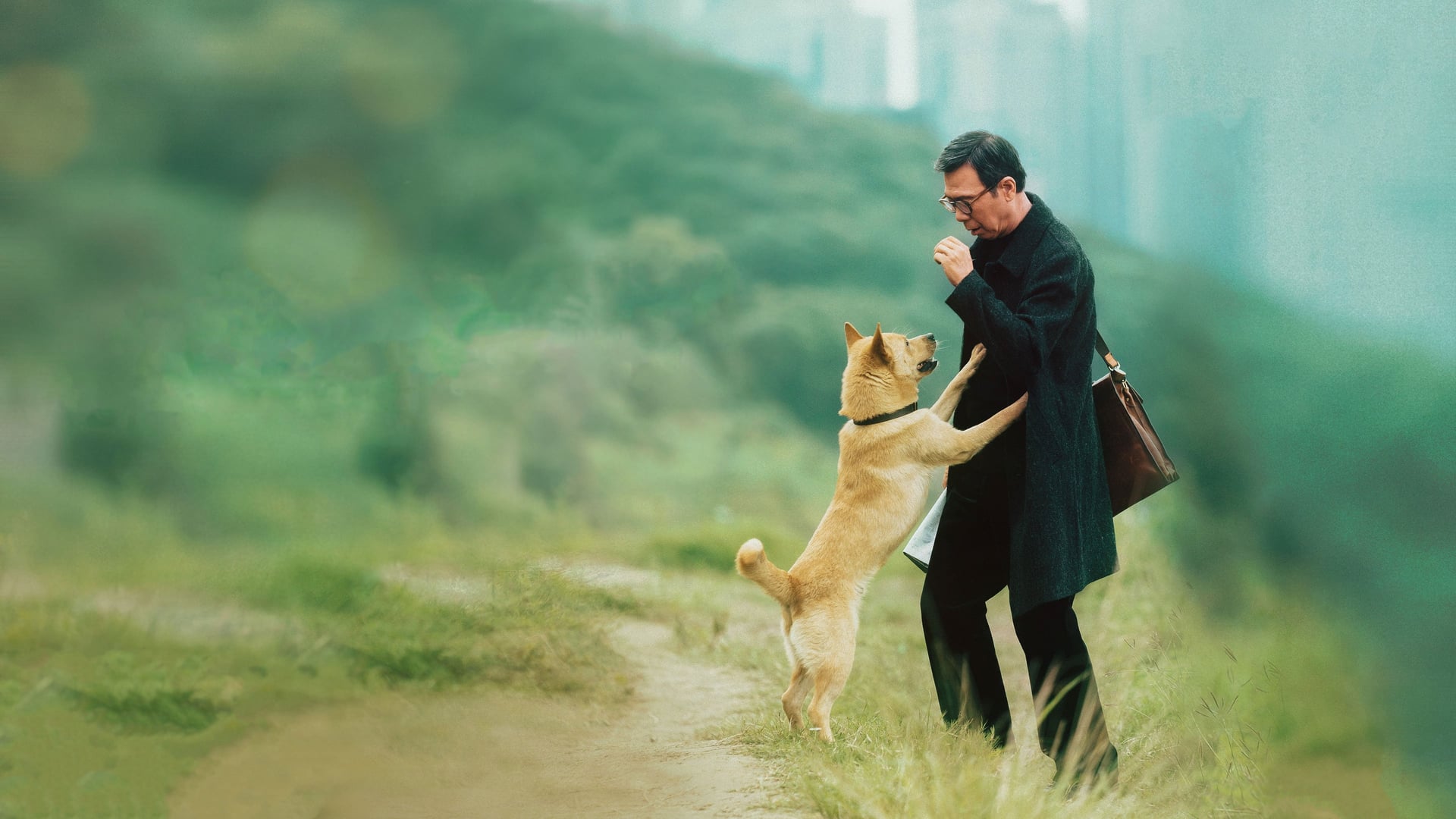 Foto do filme Hachiko Para Sempre