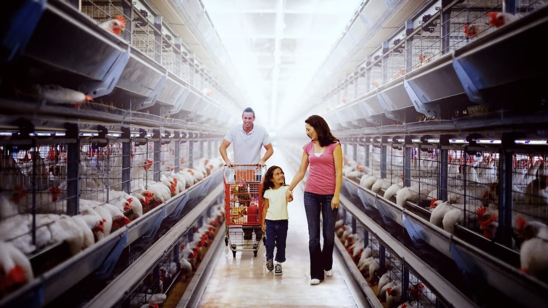 Foto do filme Contaminação: A Verdade Sobre o que Comemos