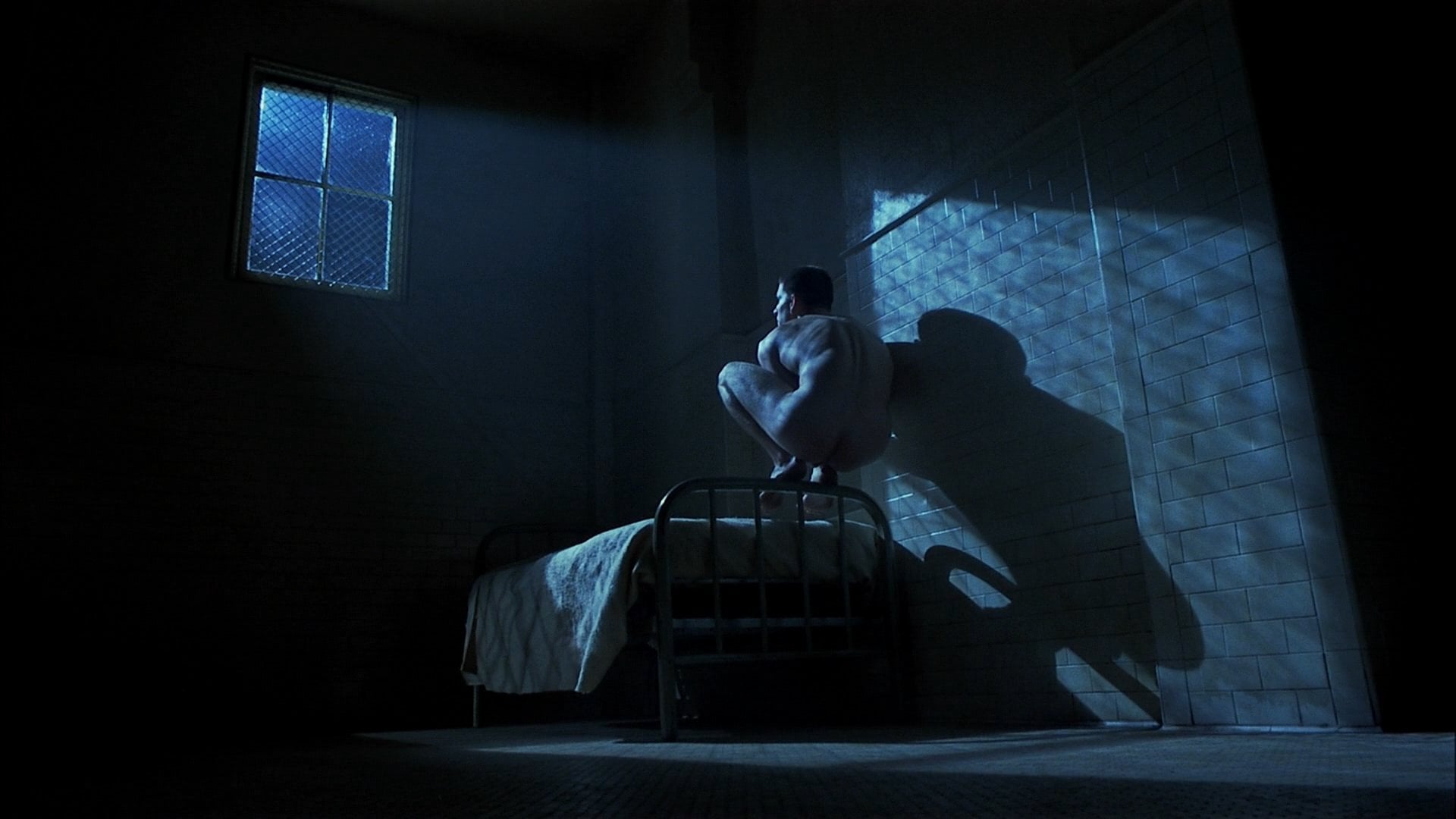 Foto do filme Asas da Liberdade