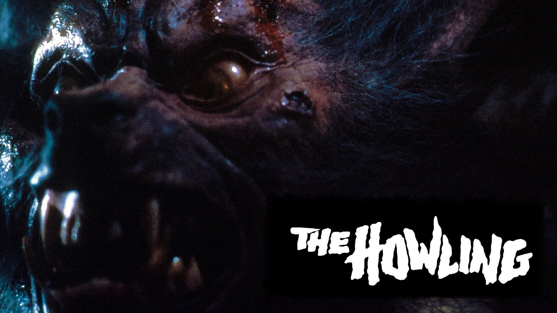 Foto do filme Grito de Horror