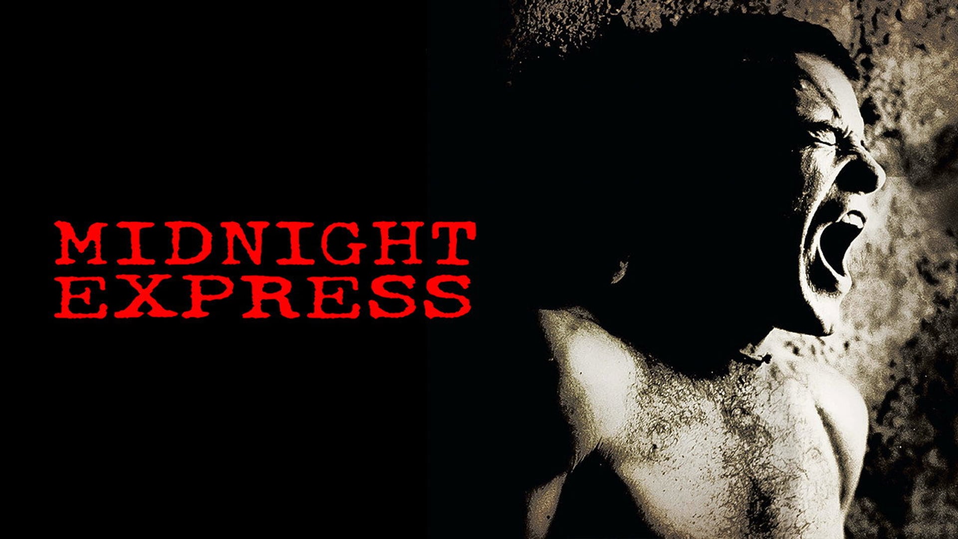 Foto do filme O Expresso da Meia-Noite