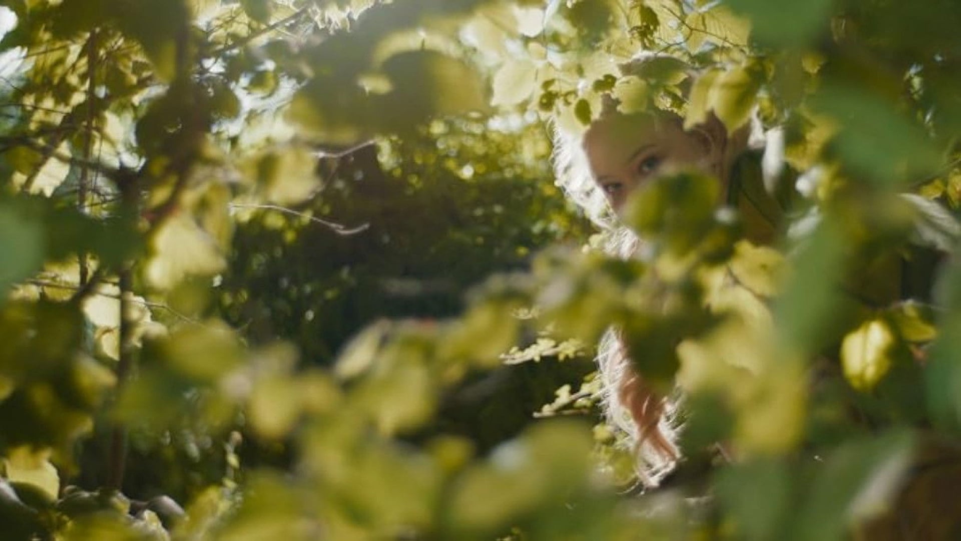 Foto do filme The Magic Faraway Tree