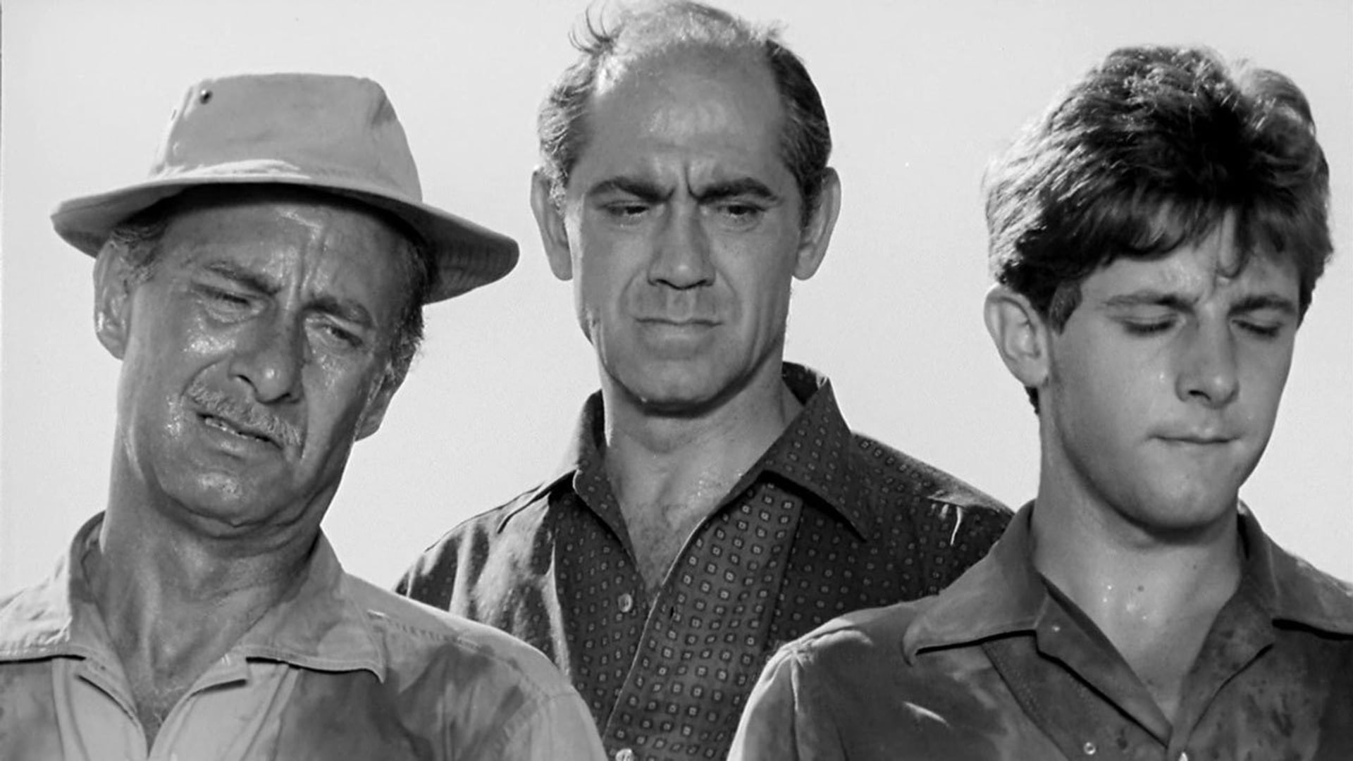 Foto do filme La caza