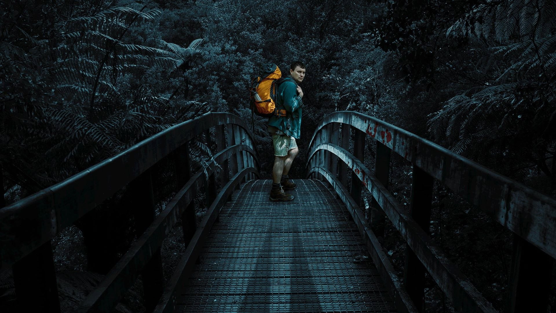Foto do filme Loop Track: Mistério na Floresta