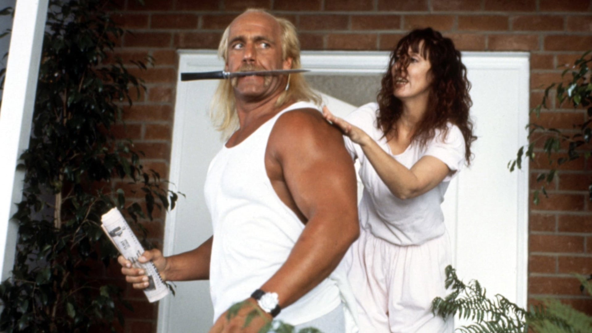 Foto do filme Comando Suburbano