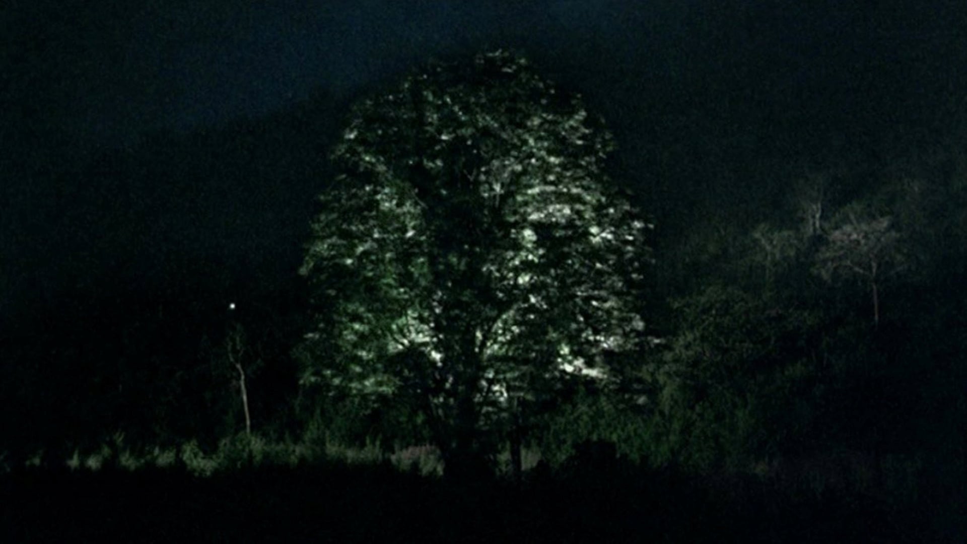 Foto do filme Mal dos Trópicos