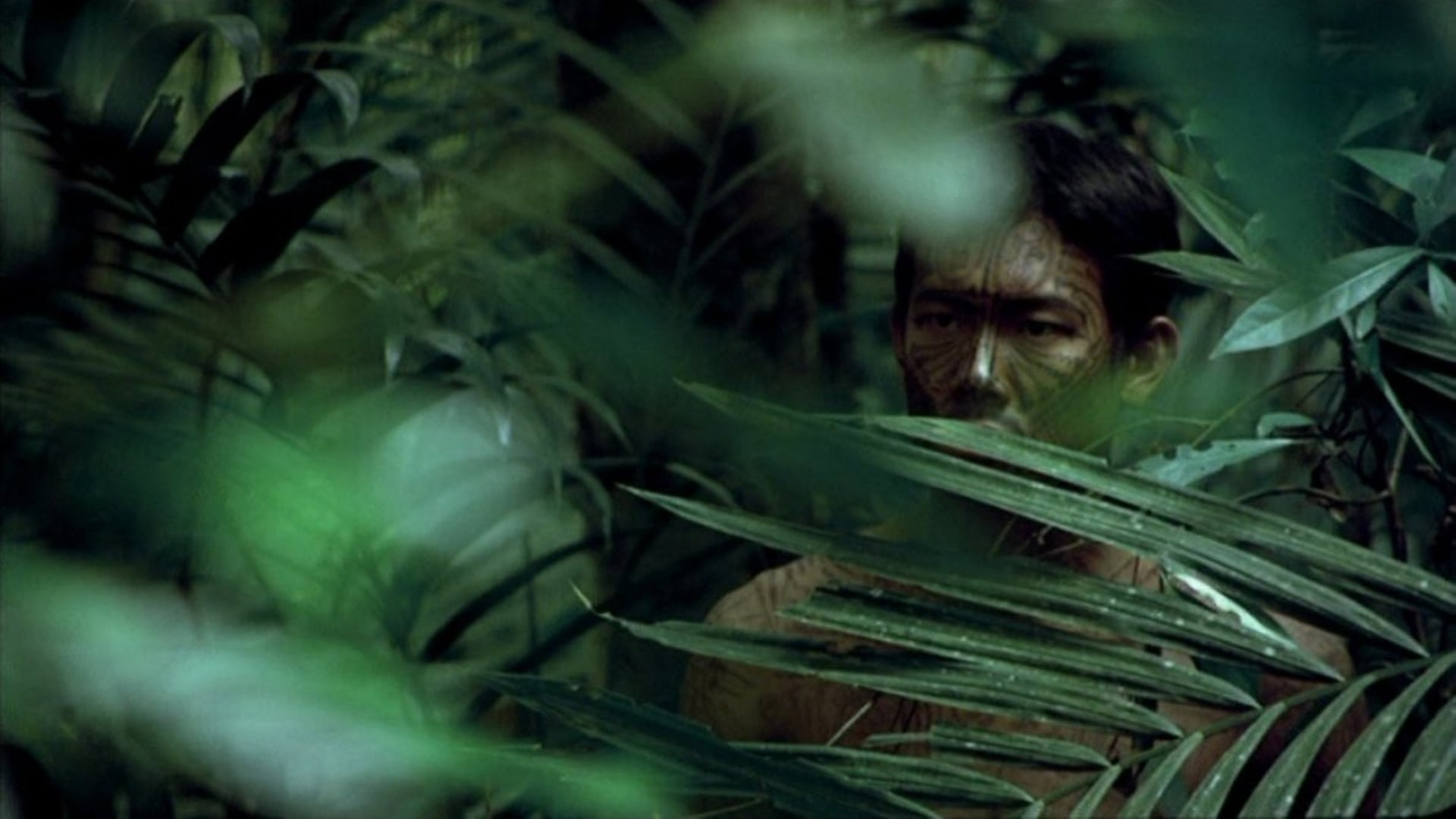 Foto do filme Mal dos Trópicos