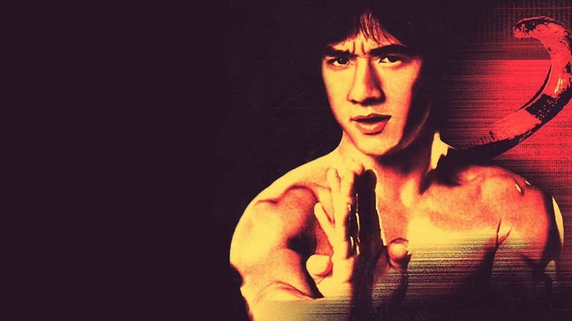 Foto do filme Punhos de Serpente