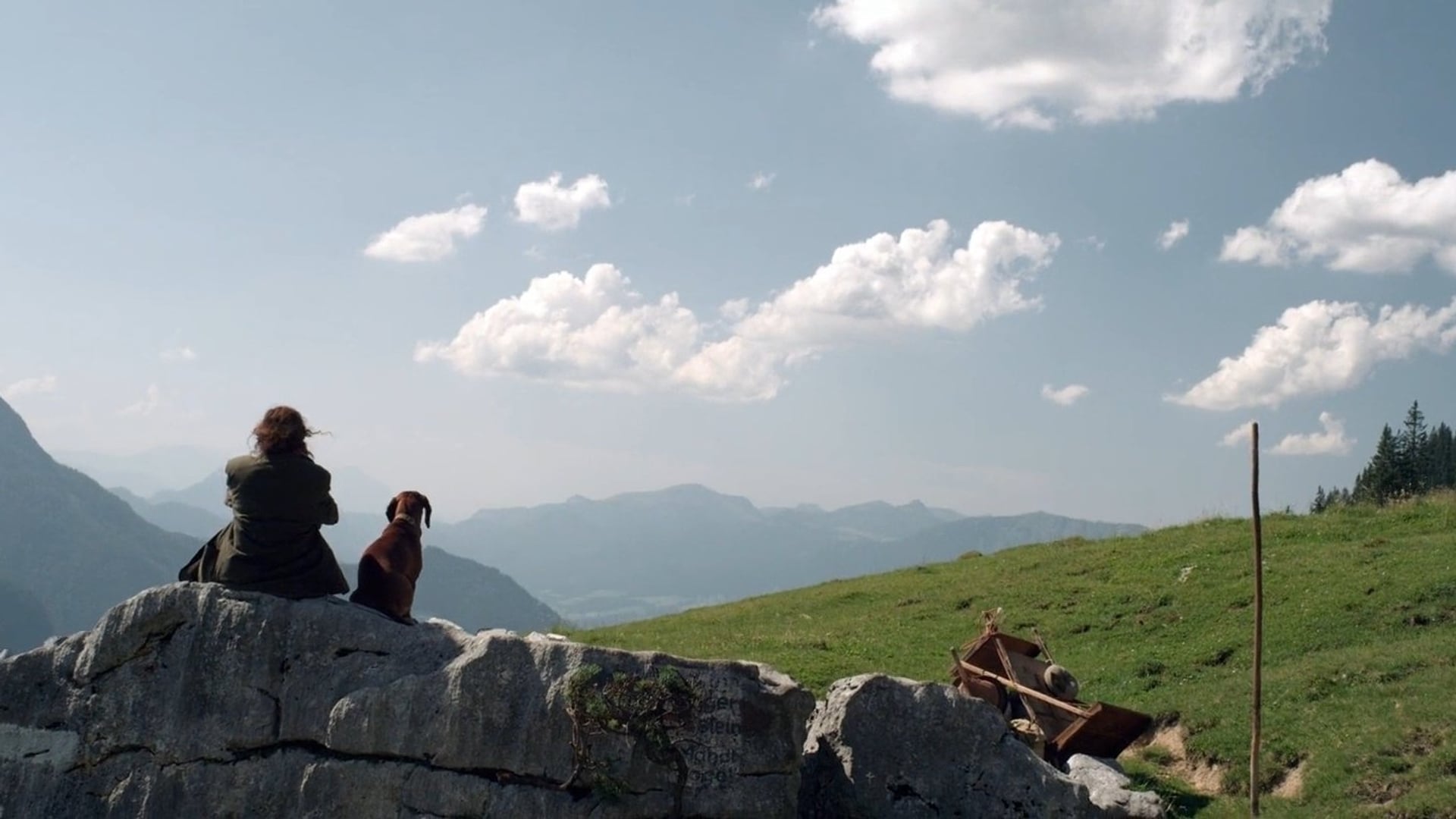 Foto do filme A Parede