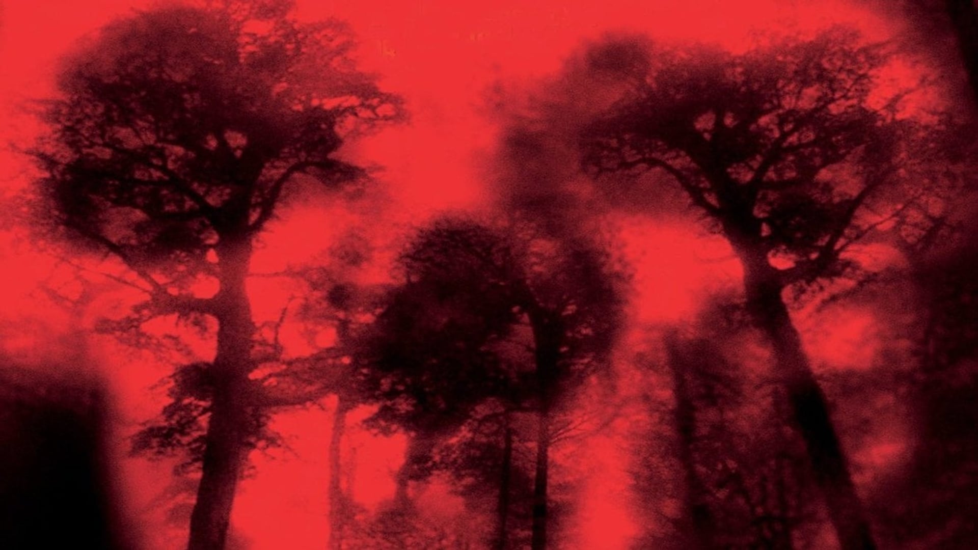 Foto do filme Cabana do Inferno