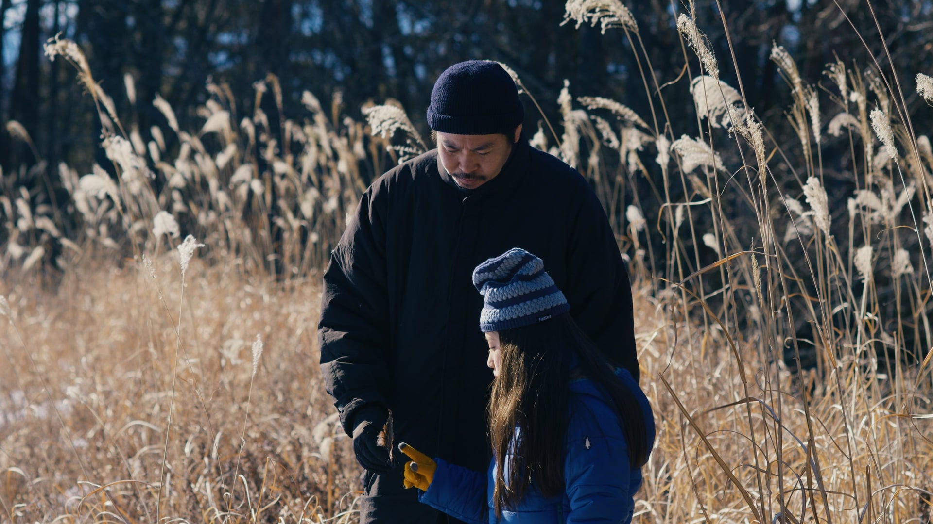 Foto do filme O Mal Não Existe