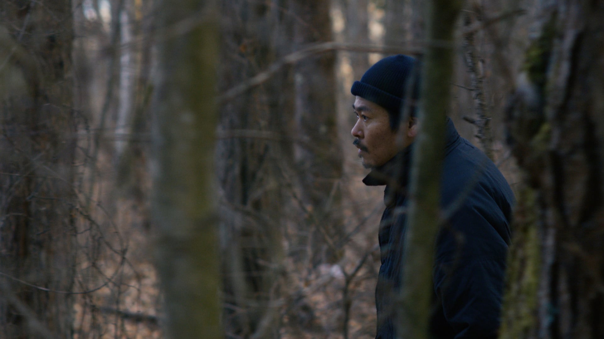 Foto do filme O Mal Não Existe