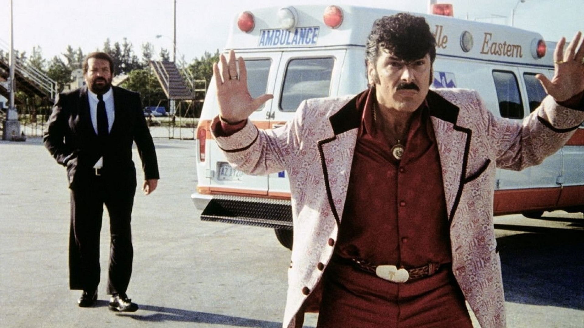 Foto do filme Cão e Gato