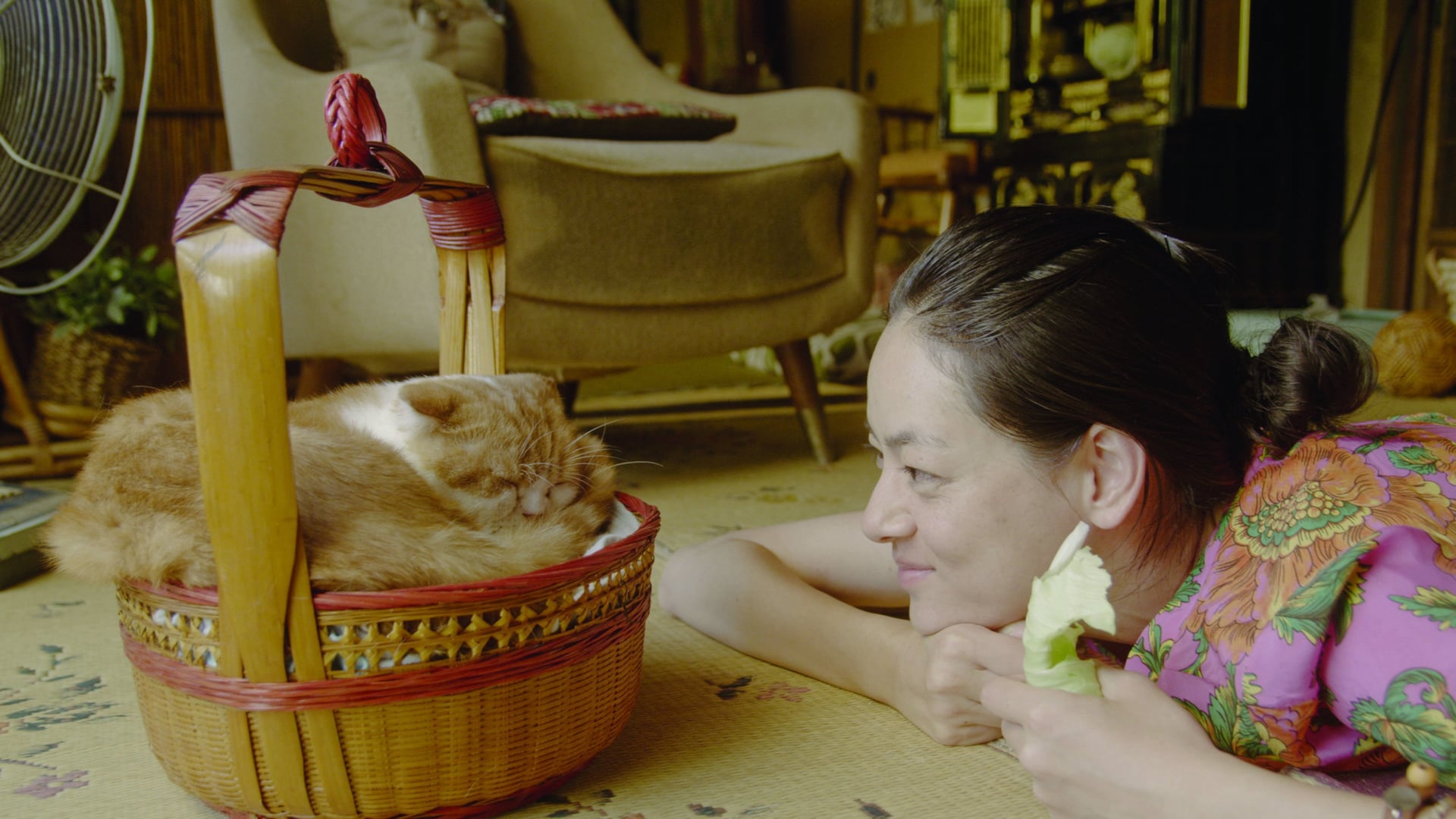 Foto do filme Rent-a-Cat