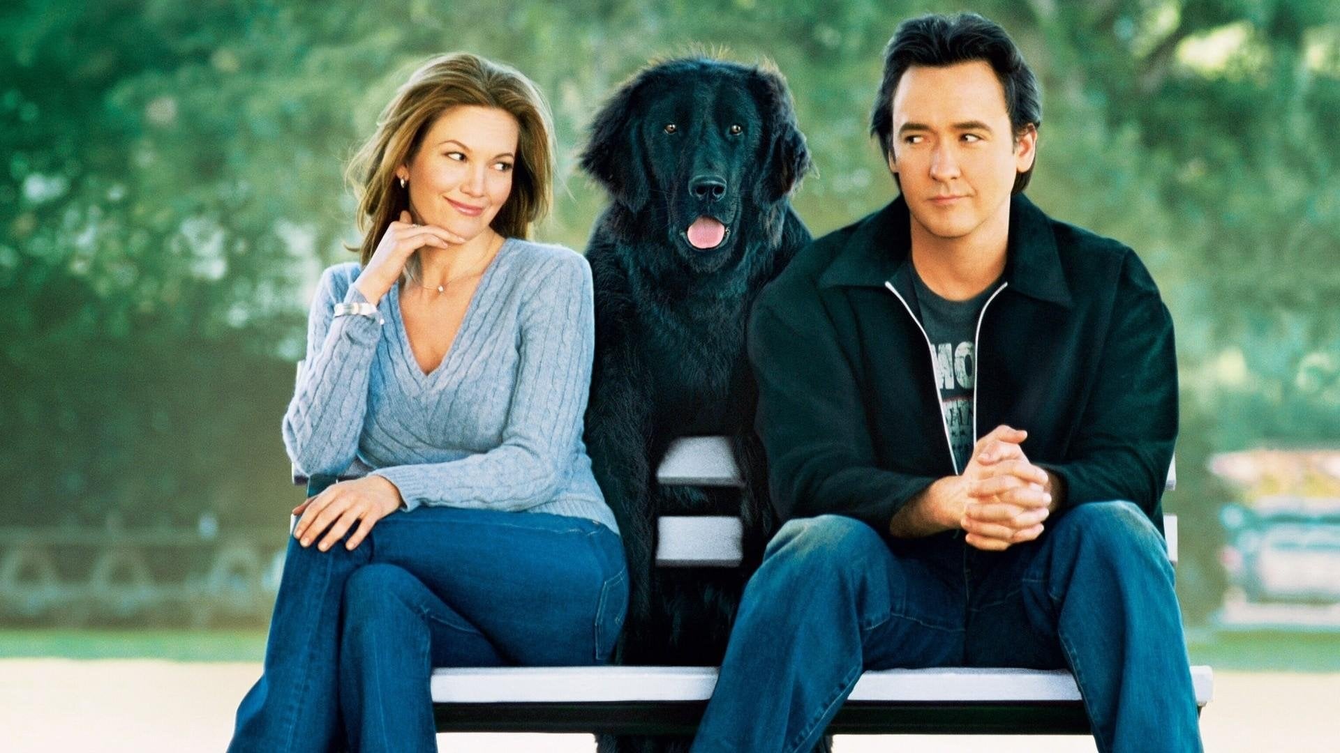 Foto do filme Procura-se um Amor que Goste de Cachorros