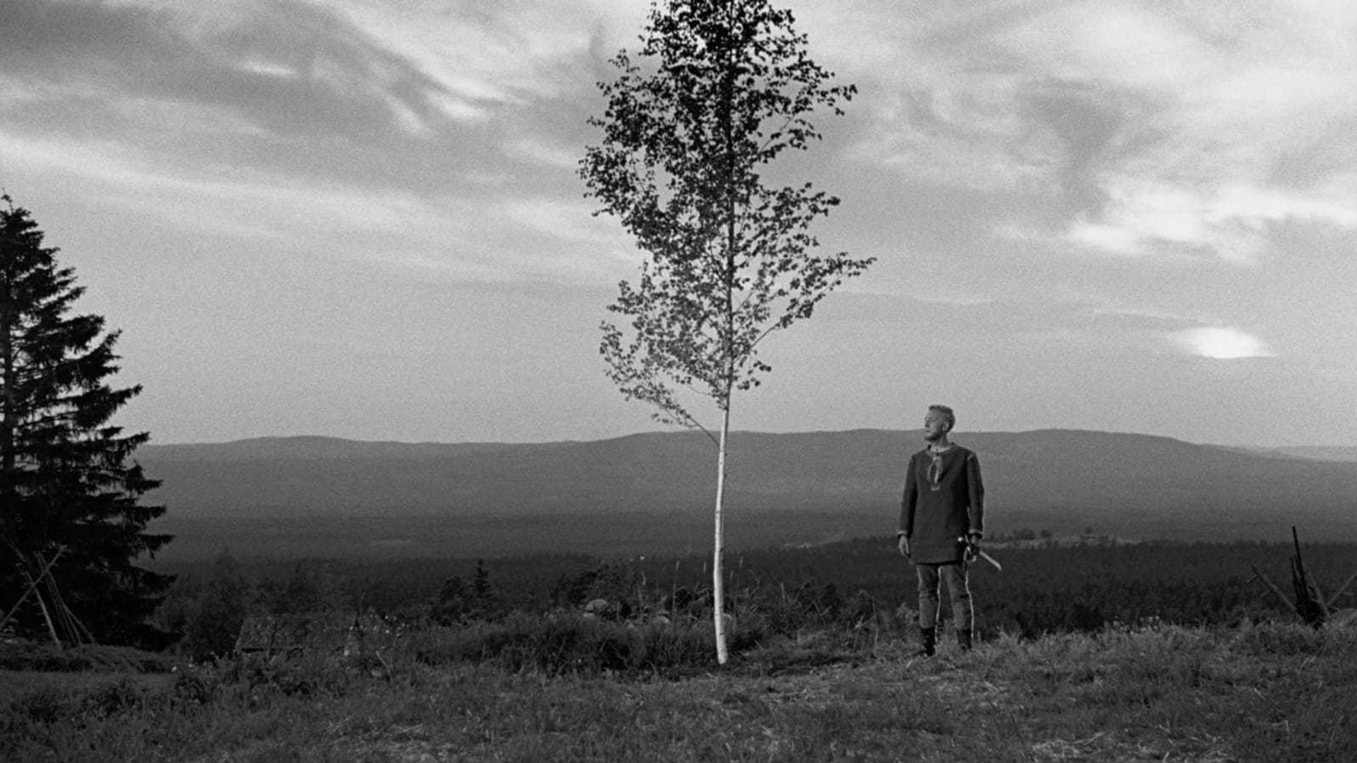 Foto do filme A Fonte da Donzela