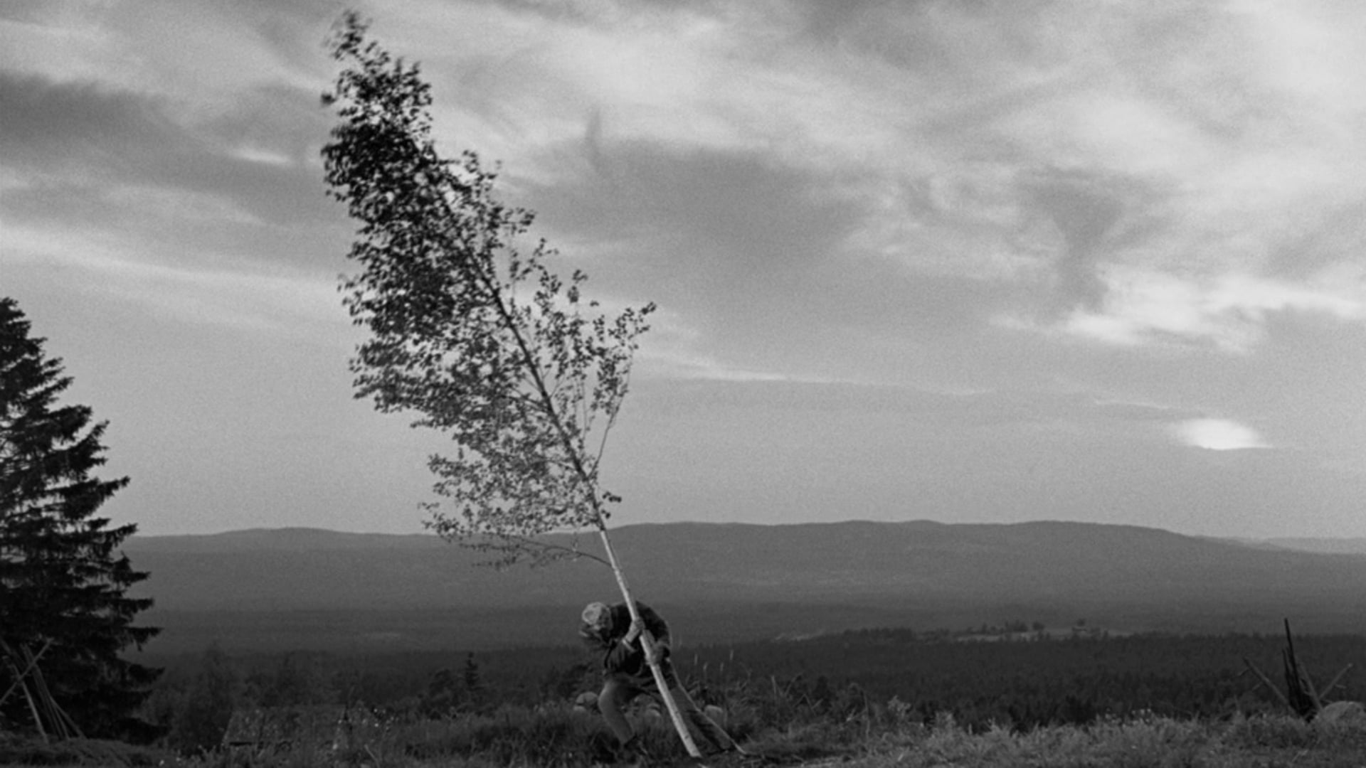 Foto do filme A Fonte da Donzela