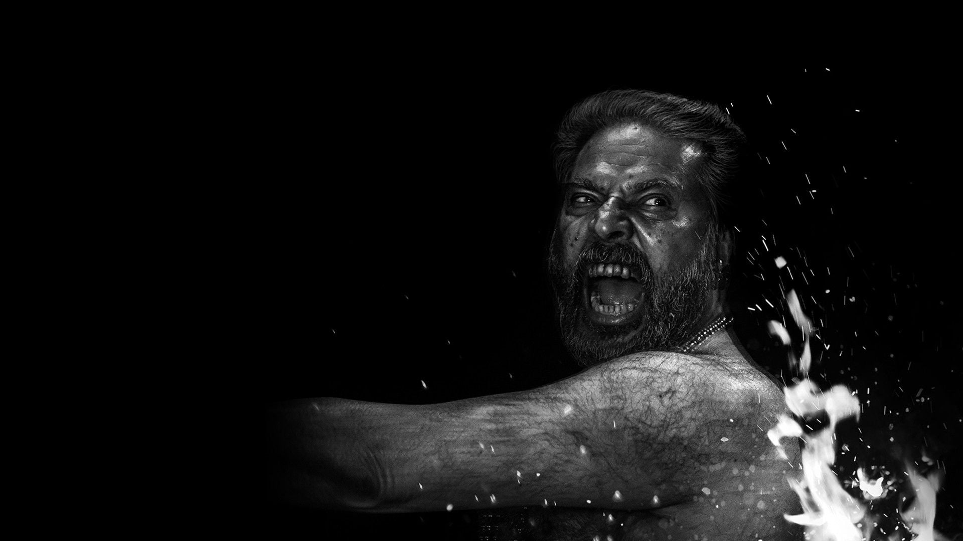 Foto do filme Bramayugam