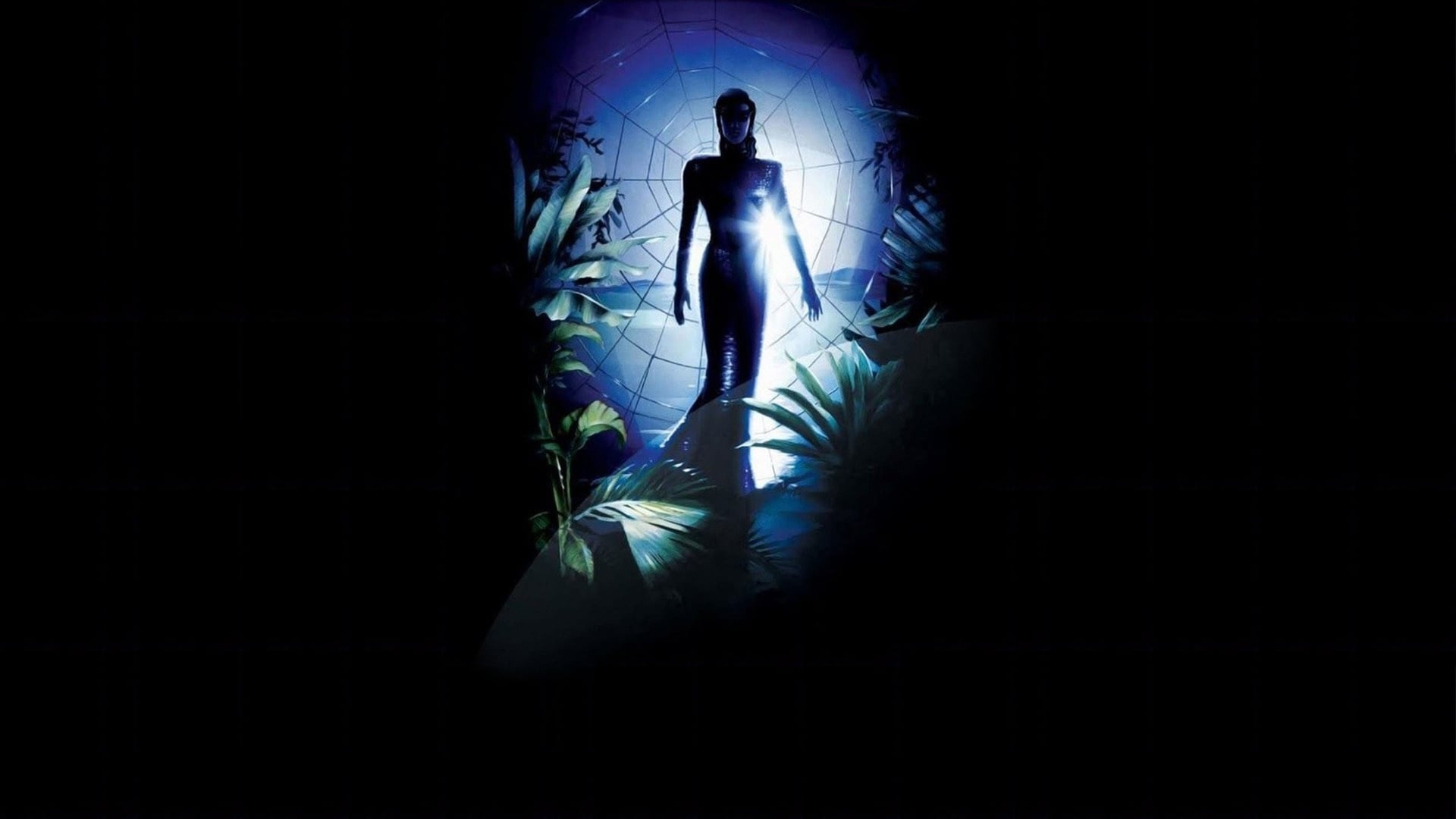 Foto do filme O Beijo da Mulher-Aranha