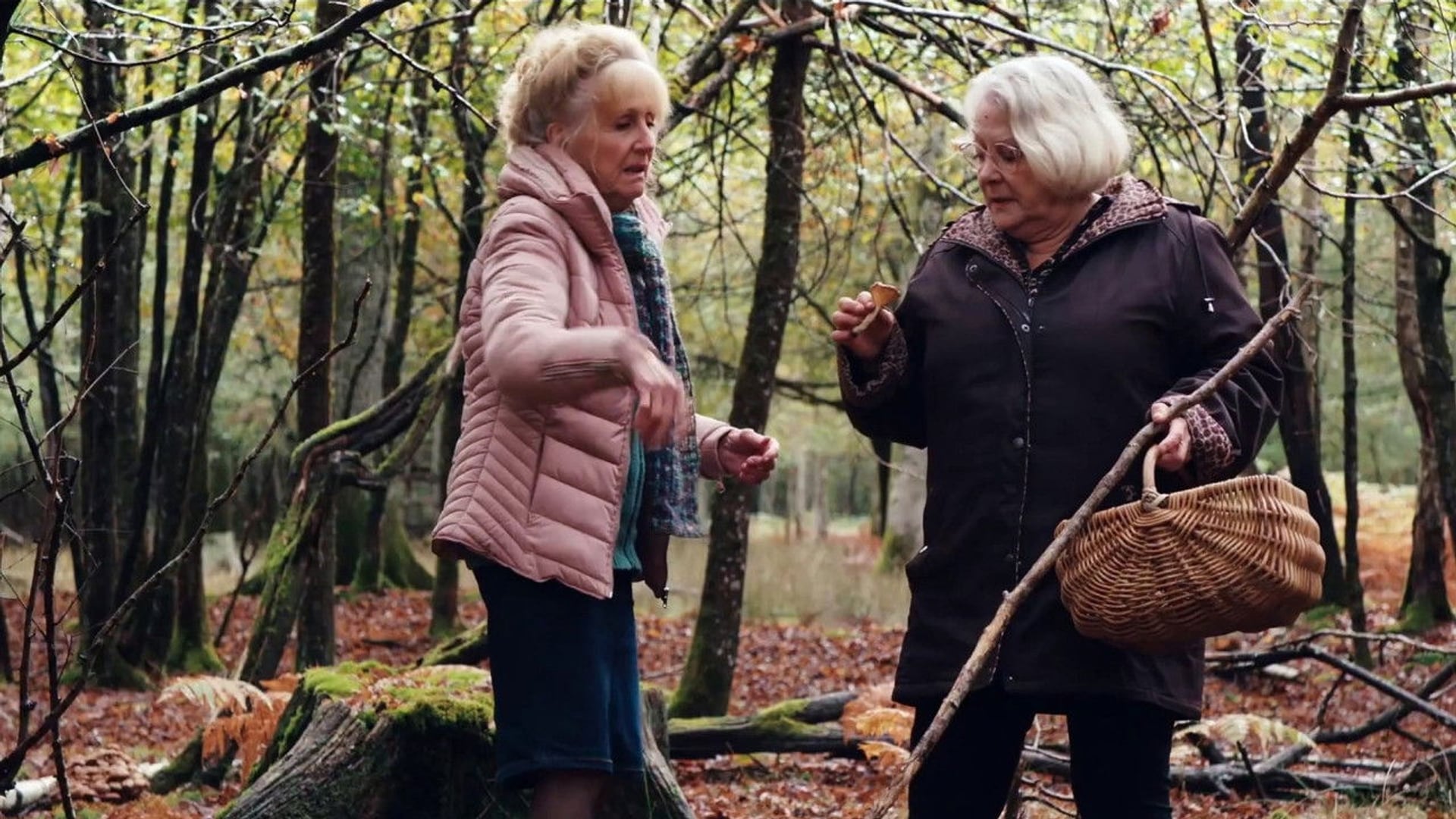 Foto do filme Quando Chega o Outono