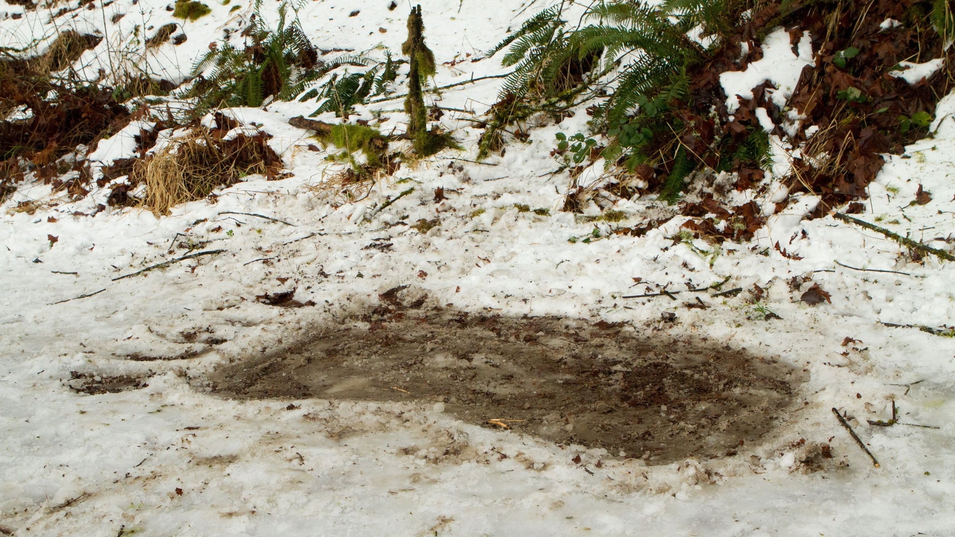 Foto do filme O Pé Grande