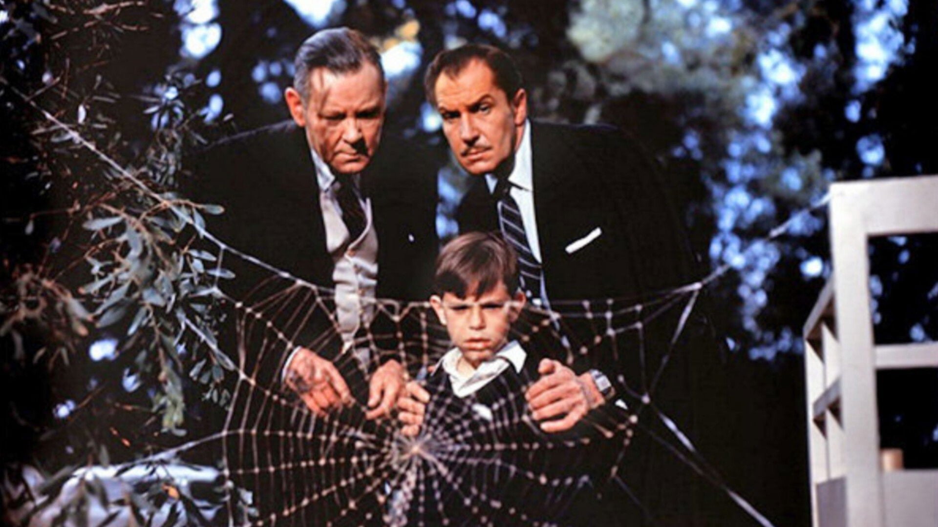 Foto do filme A Mosca da Cabeça Branca