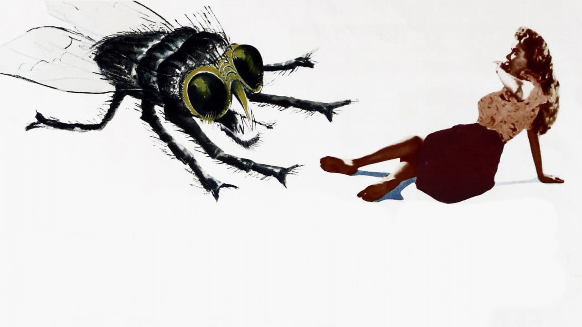 Foto do filme A Mosca da Cabeça Branca