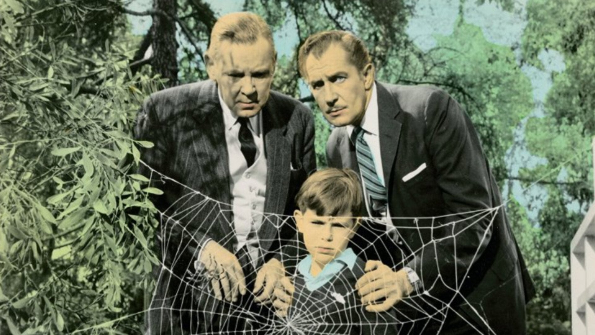 Foto do filme A Mosca da Cabeça Branca