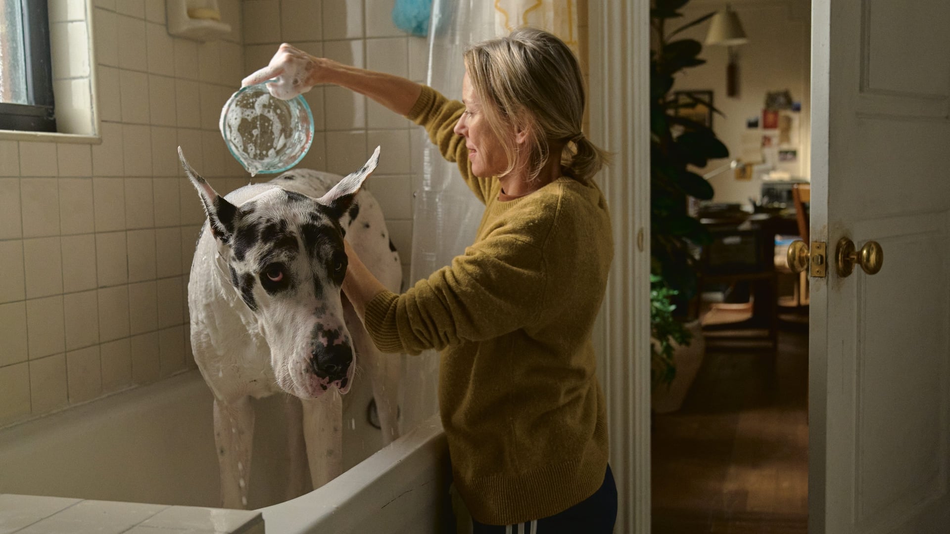 Foto do filme O Amigo