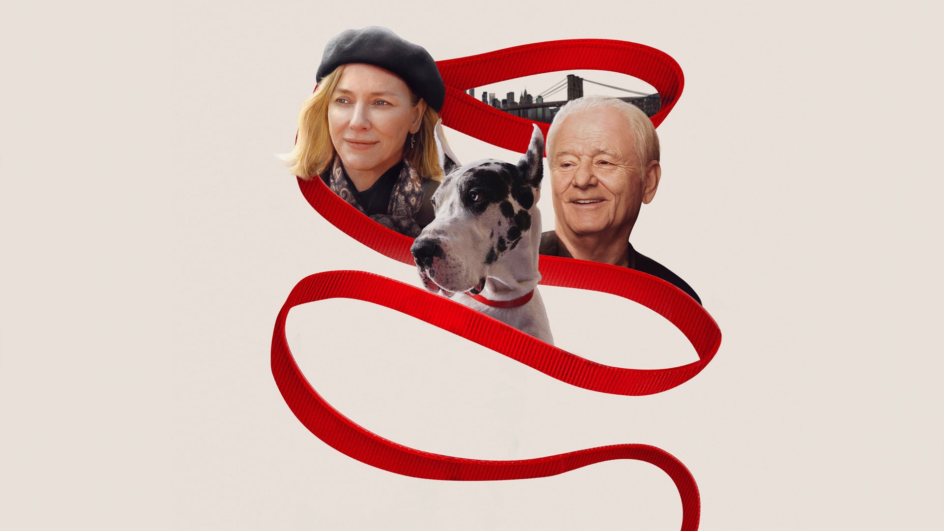 Foto do filme O Amigo