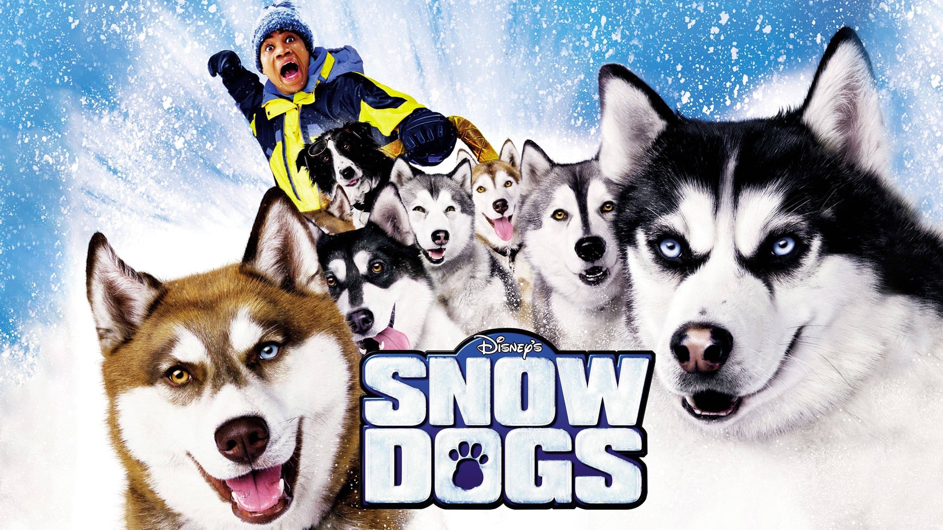 Foto do filme Neve pra Cachorro