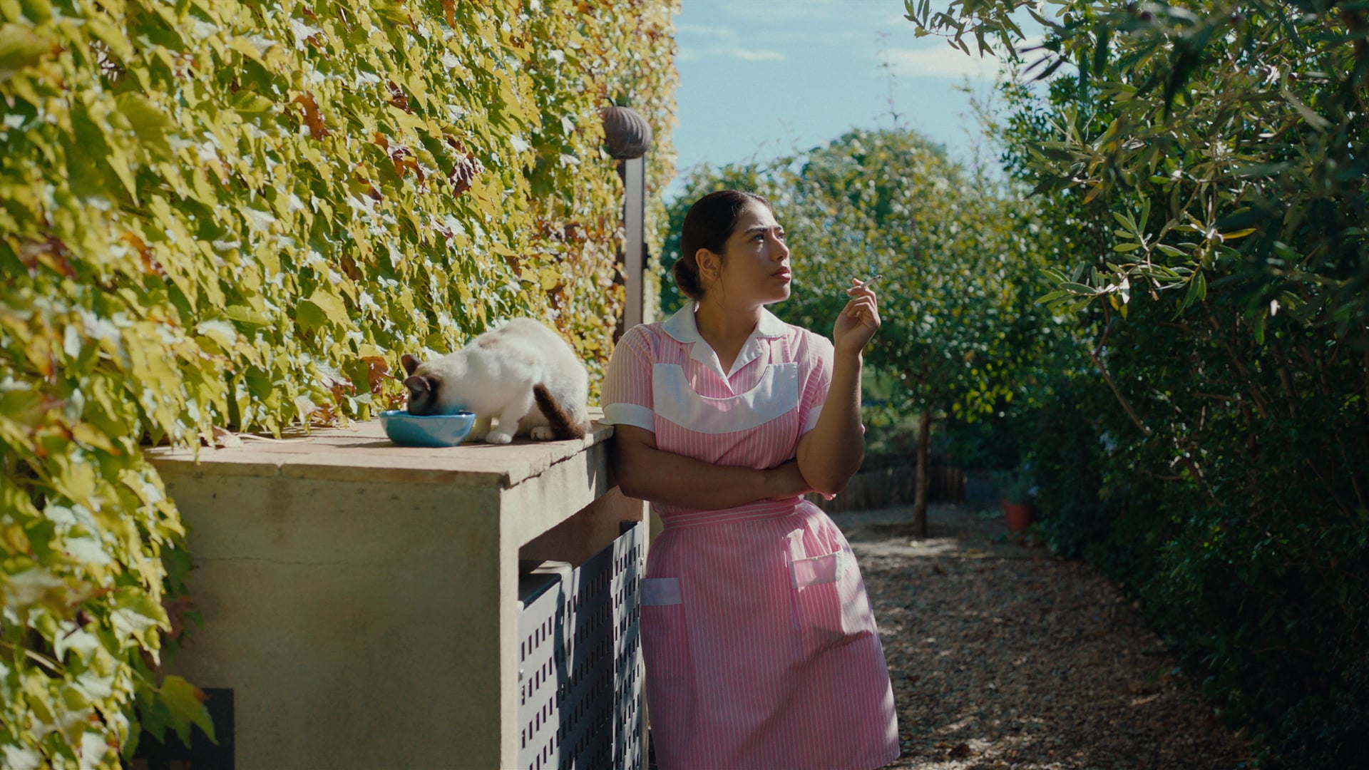 Foto do filme Calladita