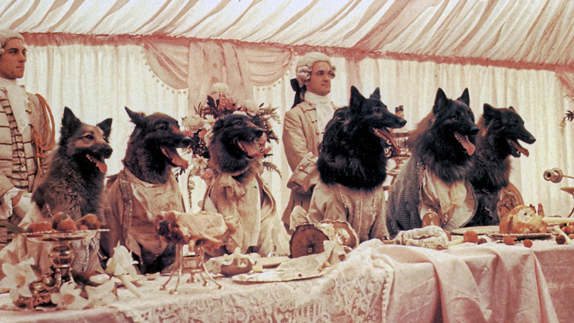 Foto do filme A Companhia dos Lobos