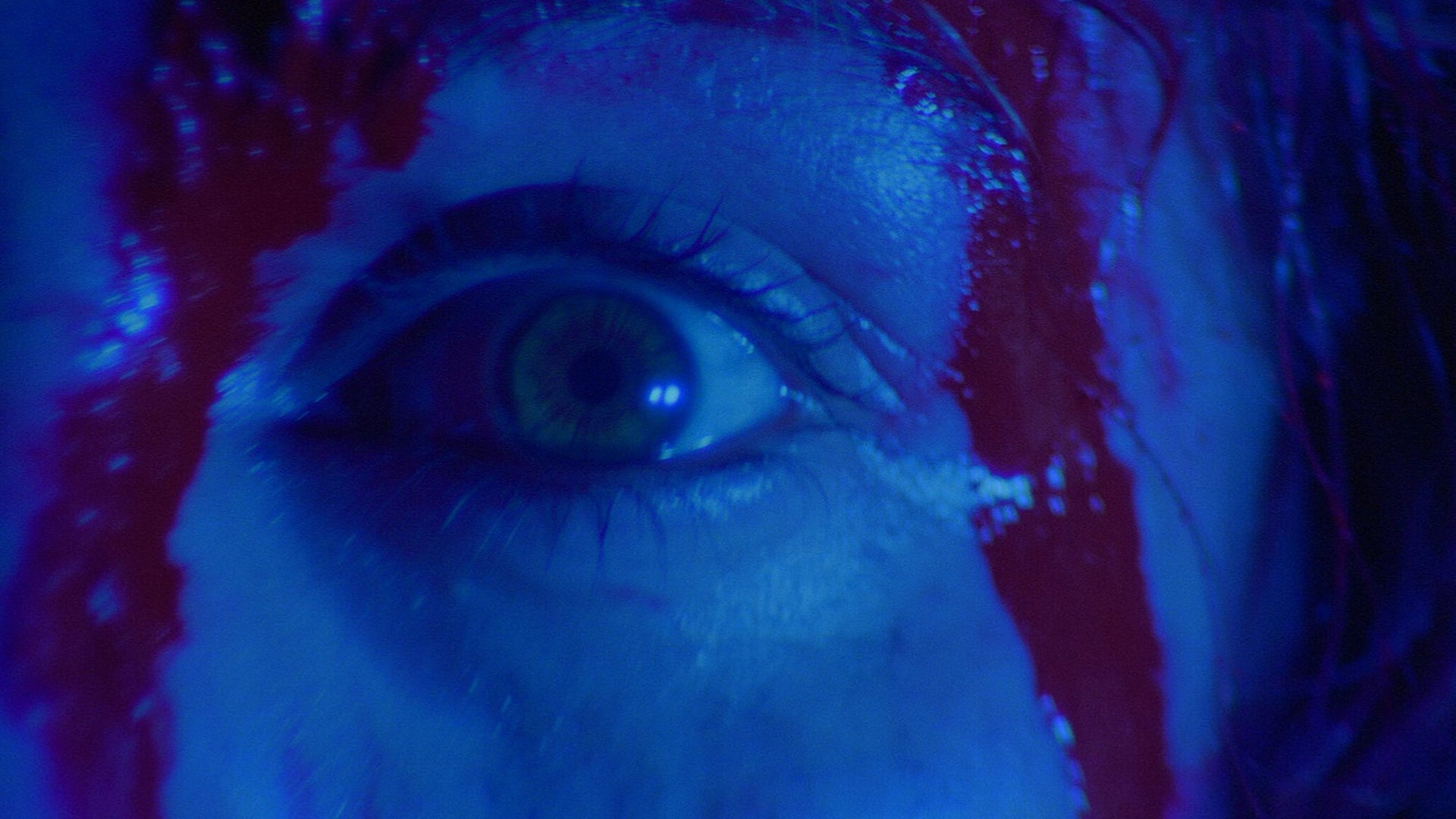 Foto do filme Suspiria