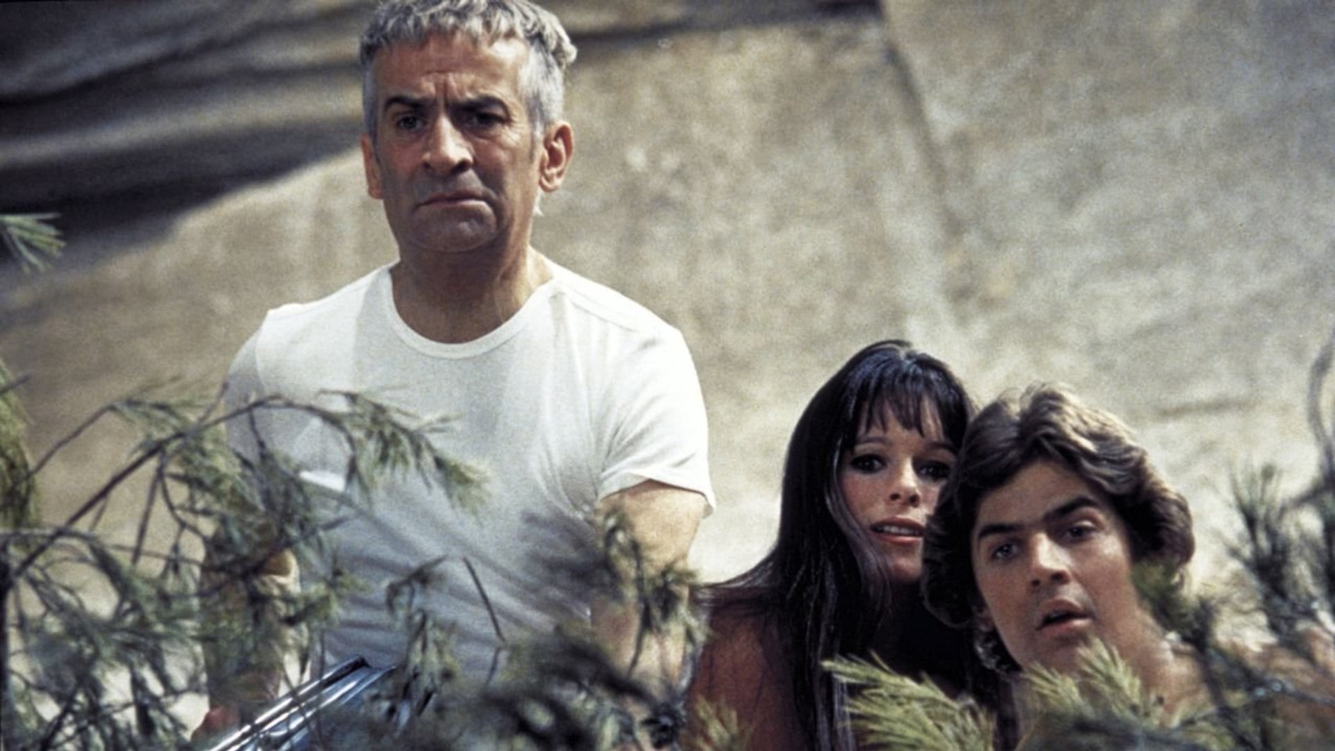 Foto do filme Sur un arbre perché