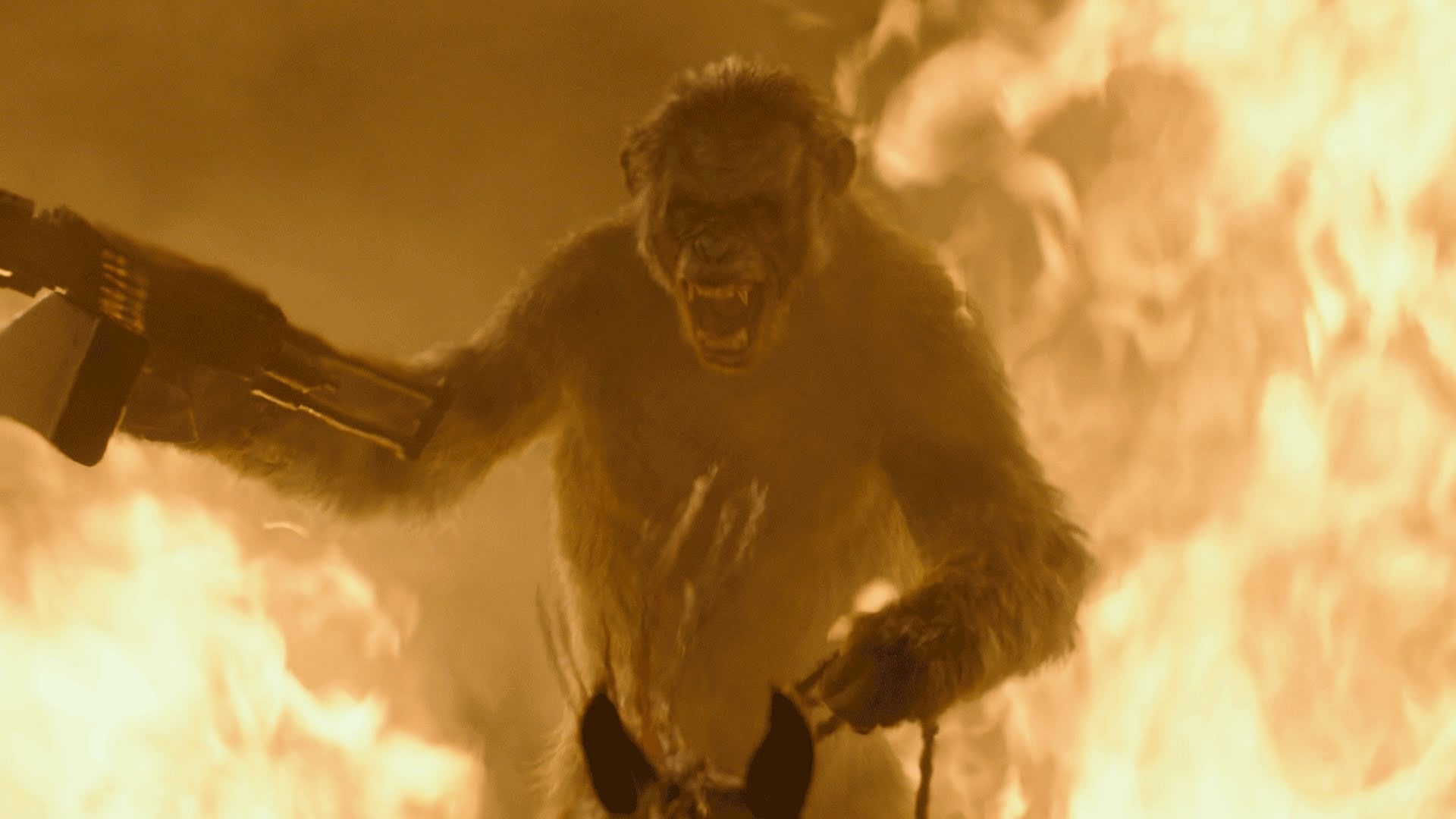 Foto do filme Planeta dos Macacos: O Confronto