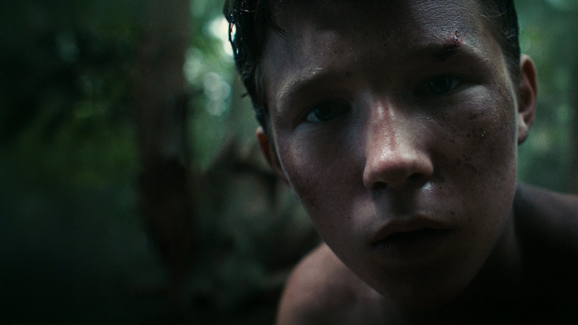 Foto do filme Perdido na Montanha